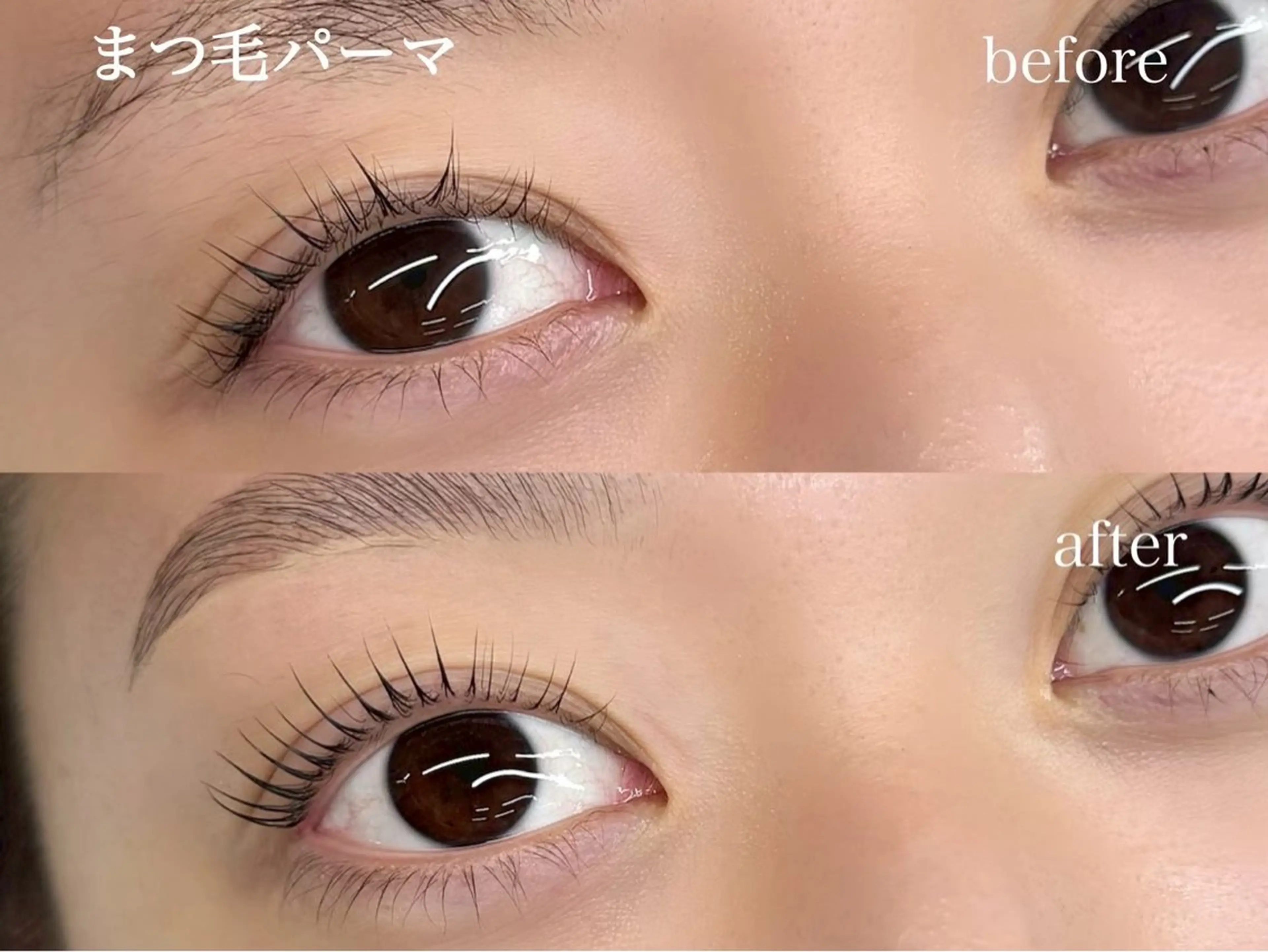 【🌸4月限定🌸まつ毛パーマ練習モデル募集中】10:30/12:00/14:00/15:30のみのご案内の写真