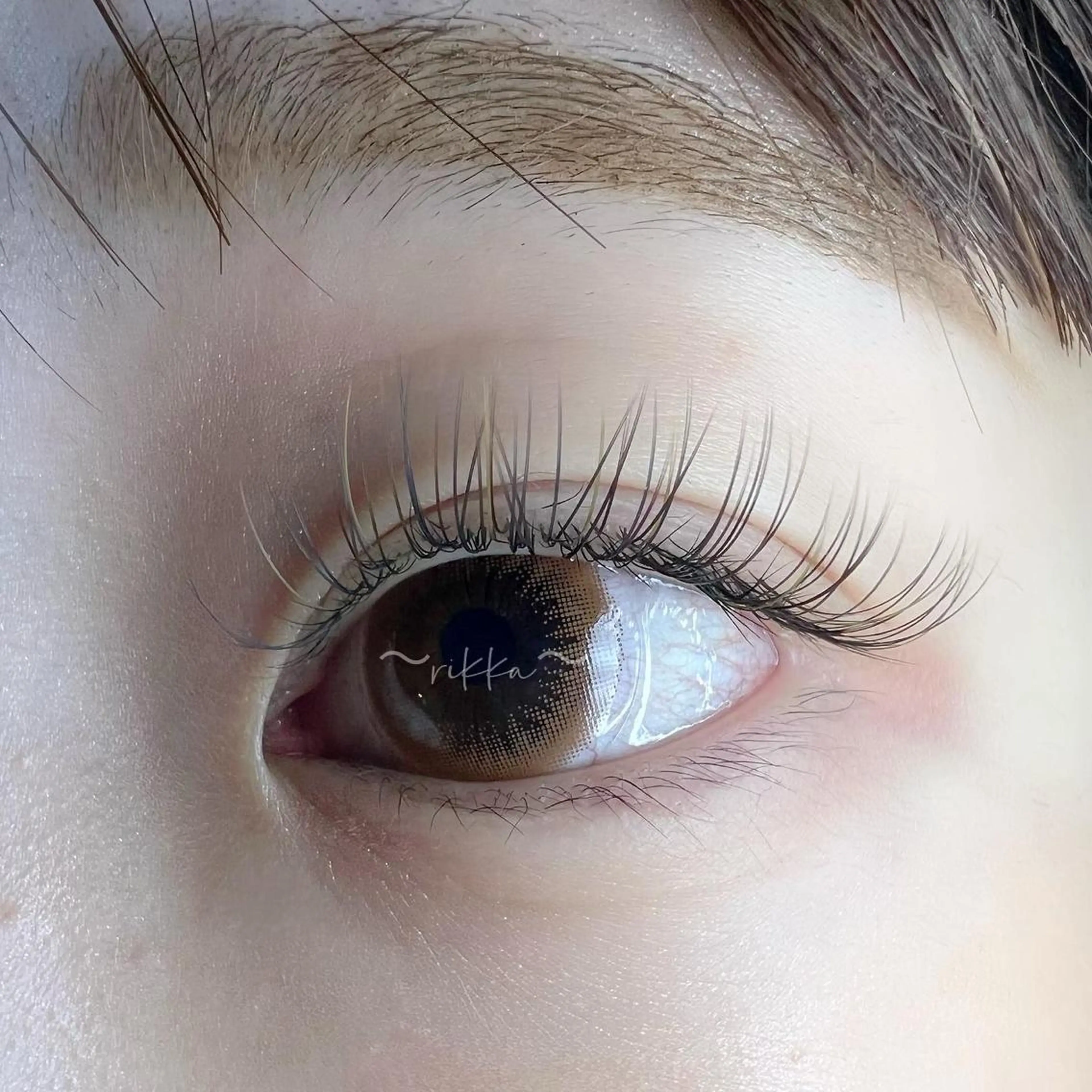 マツエク・マツパ カラーマツエク キュート フラットラッシュ 六花 〜rikka〜のマツエク・マツパデザイン