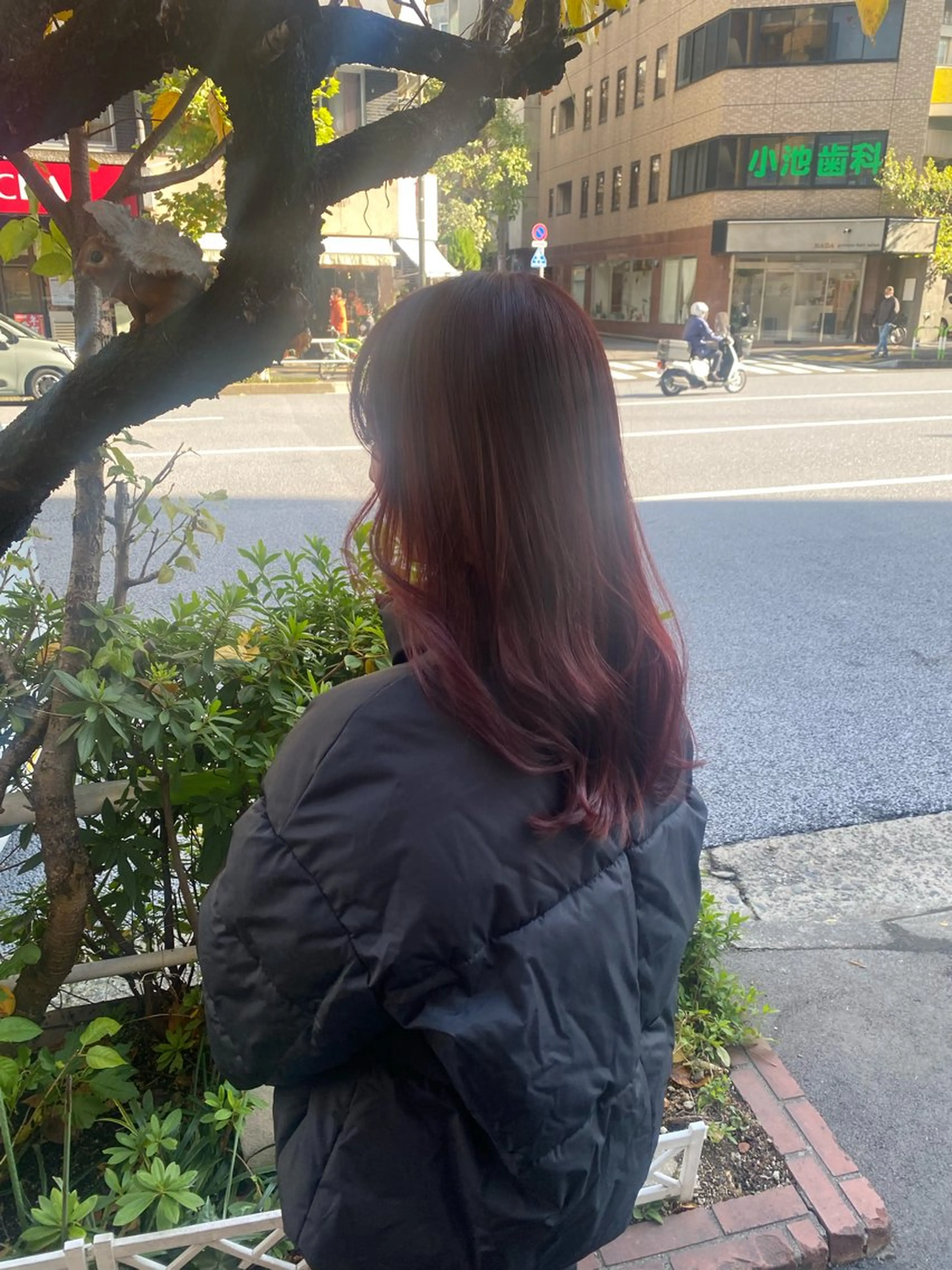 セミロング カラー ヘアアレンジ Jr.スタイリスト エシカル🌱松原大将のヘアスタイル