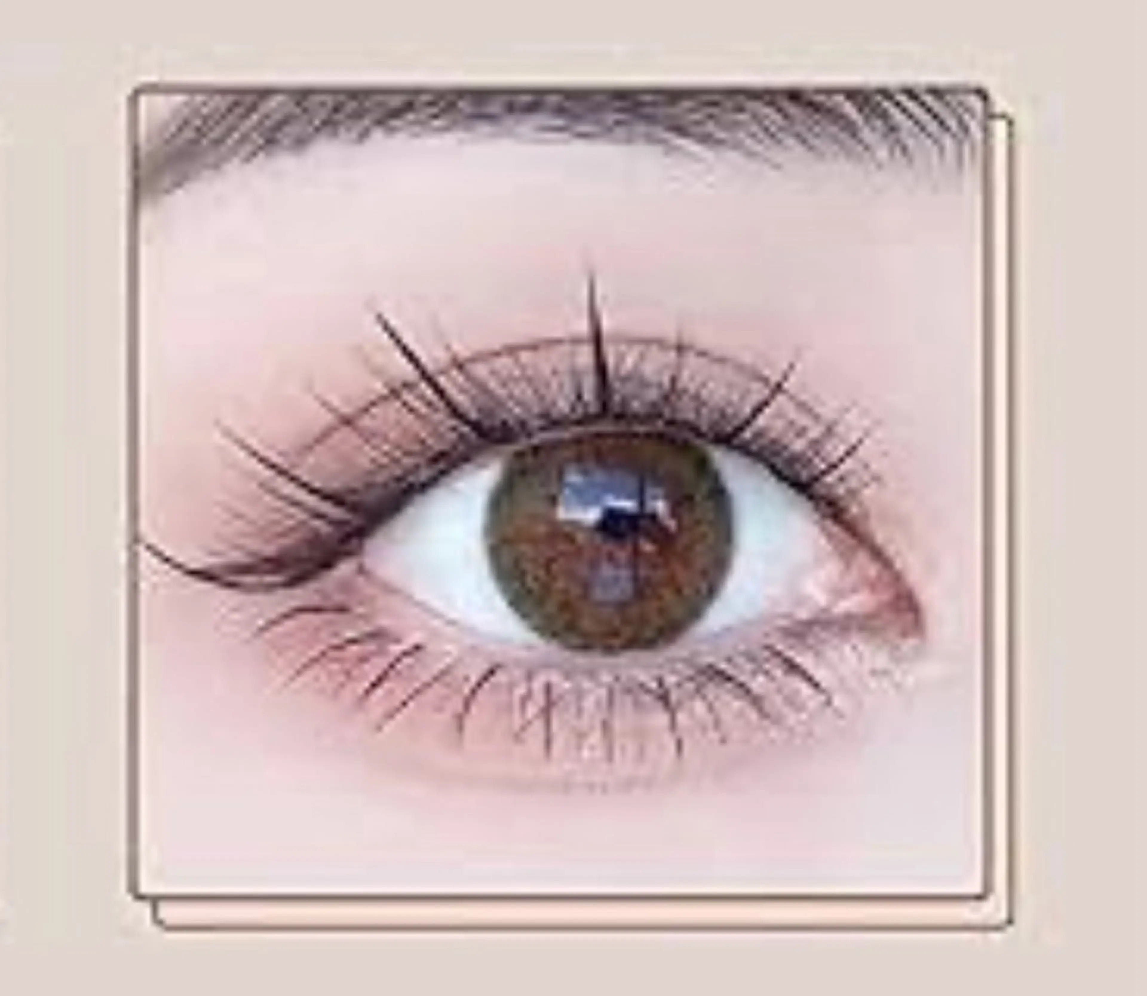 マツエク・マツパ amor Beautyのマツエク・マツパデザイン