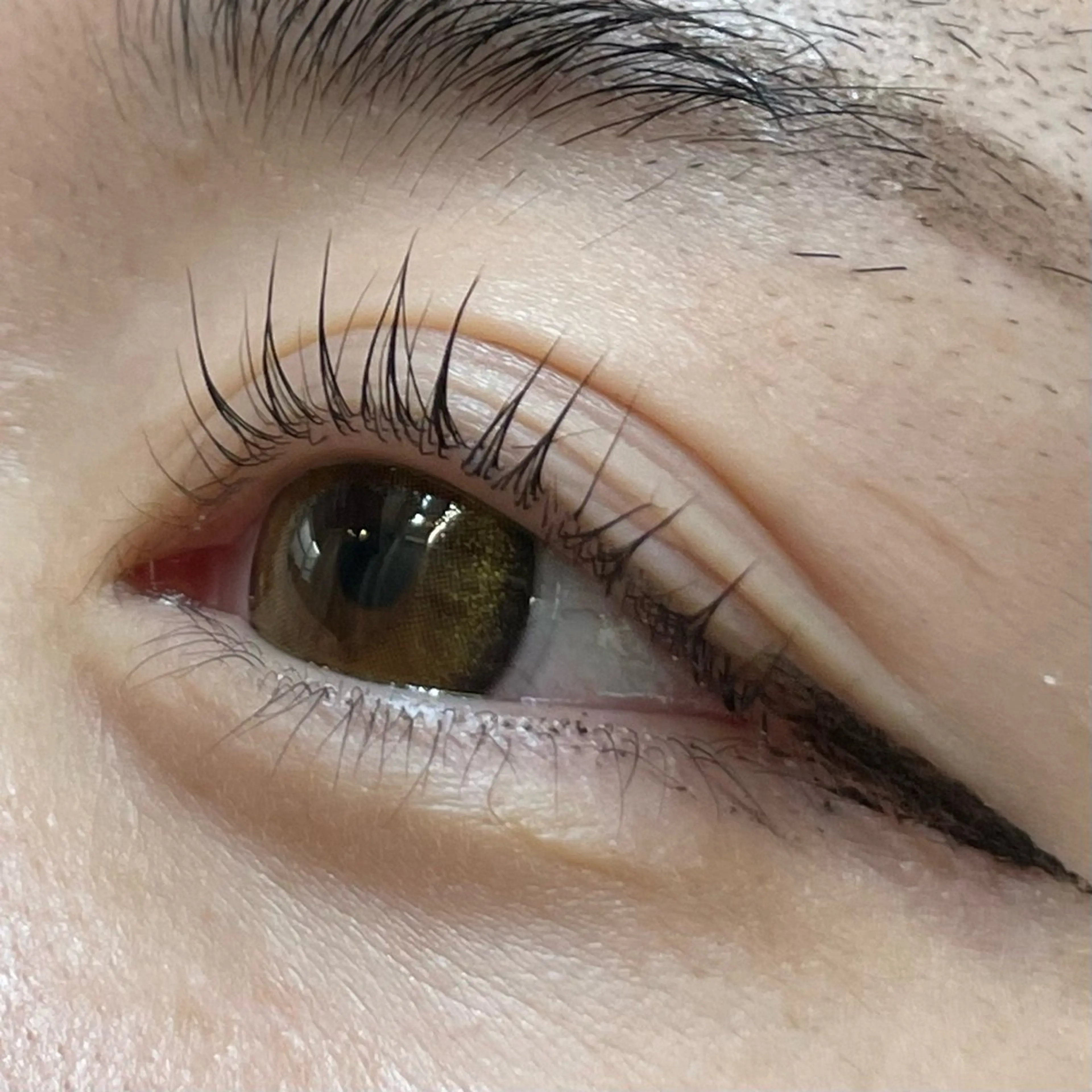 マツエク・マツパ ナチュラル 北千住/マツパ モデル募集中/アオのマツエク・マツパデザイン