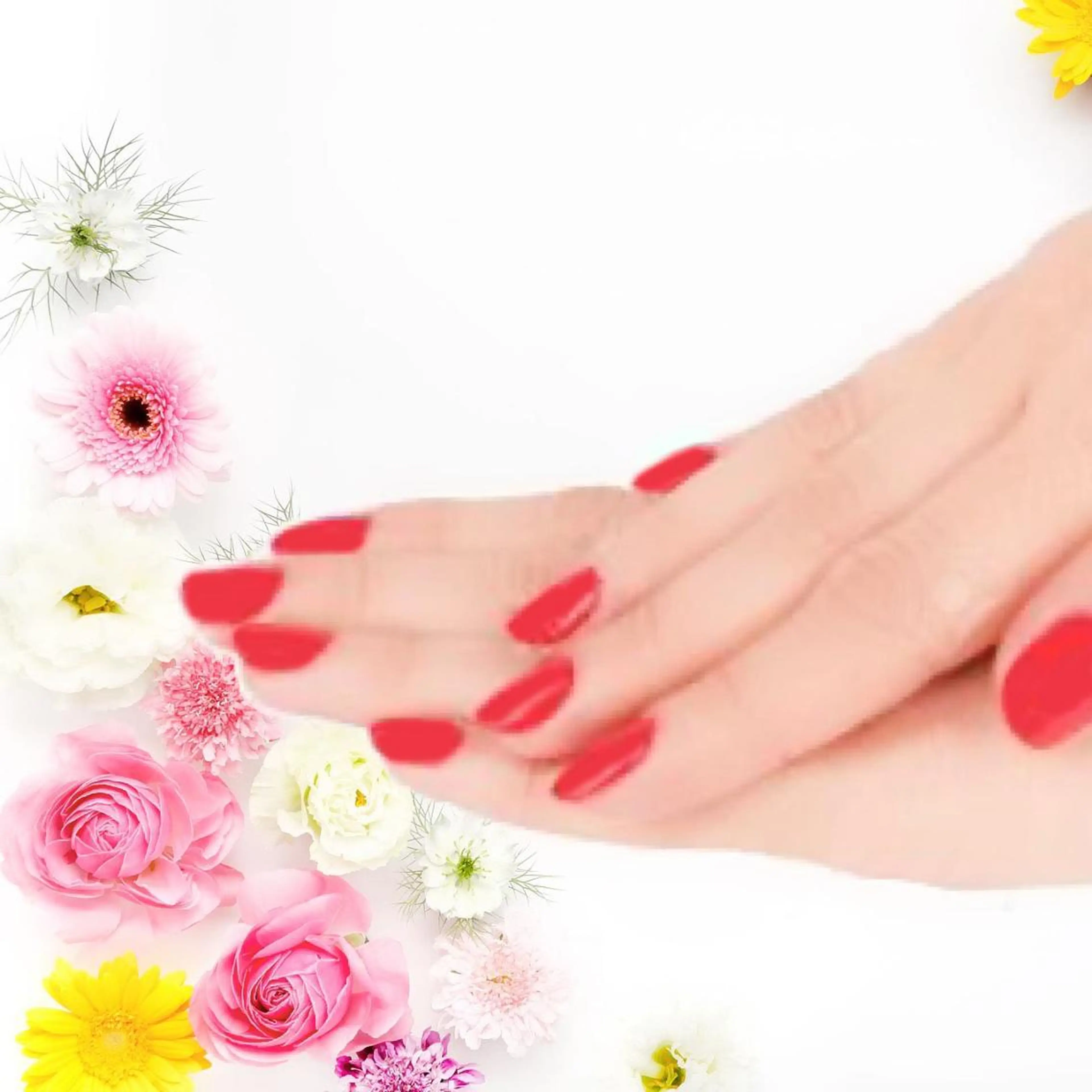 新規オフなし【ワンカラー・ラメグラデーション】シンプル好き♪の写真