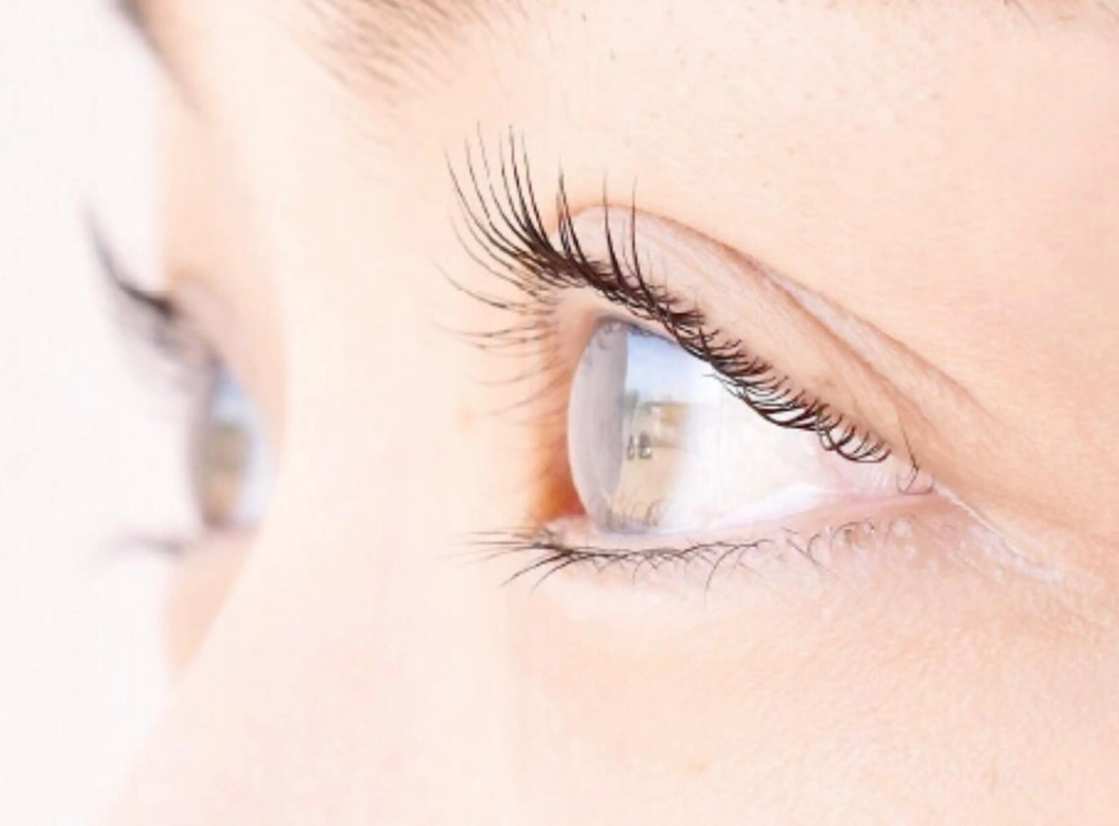 【人気急上昇】ダメージレス パリジェンヌラッシュリフト　￥5000の写真