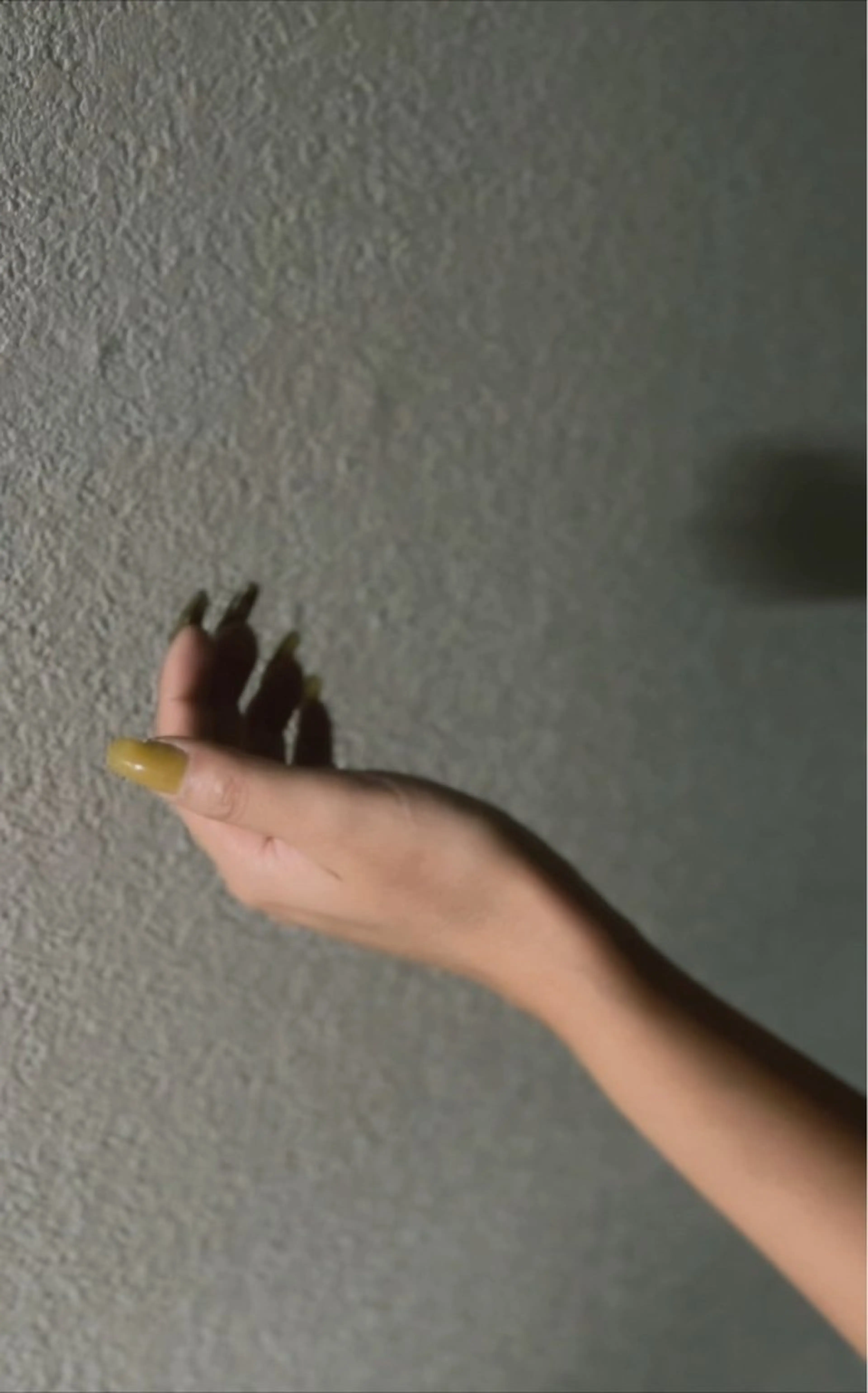 ネイル ニュアンスネイル ワンカラーネイル mzh ...のネイルデザイン