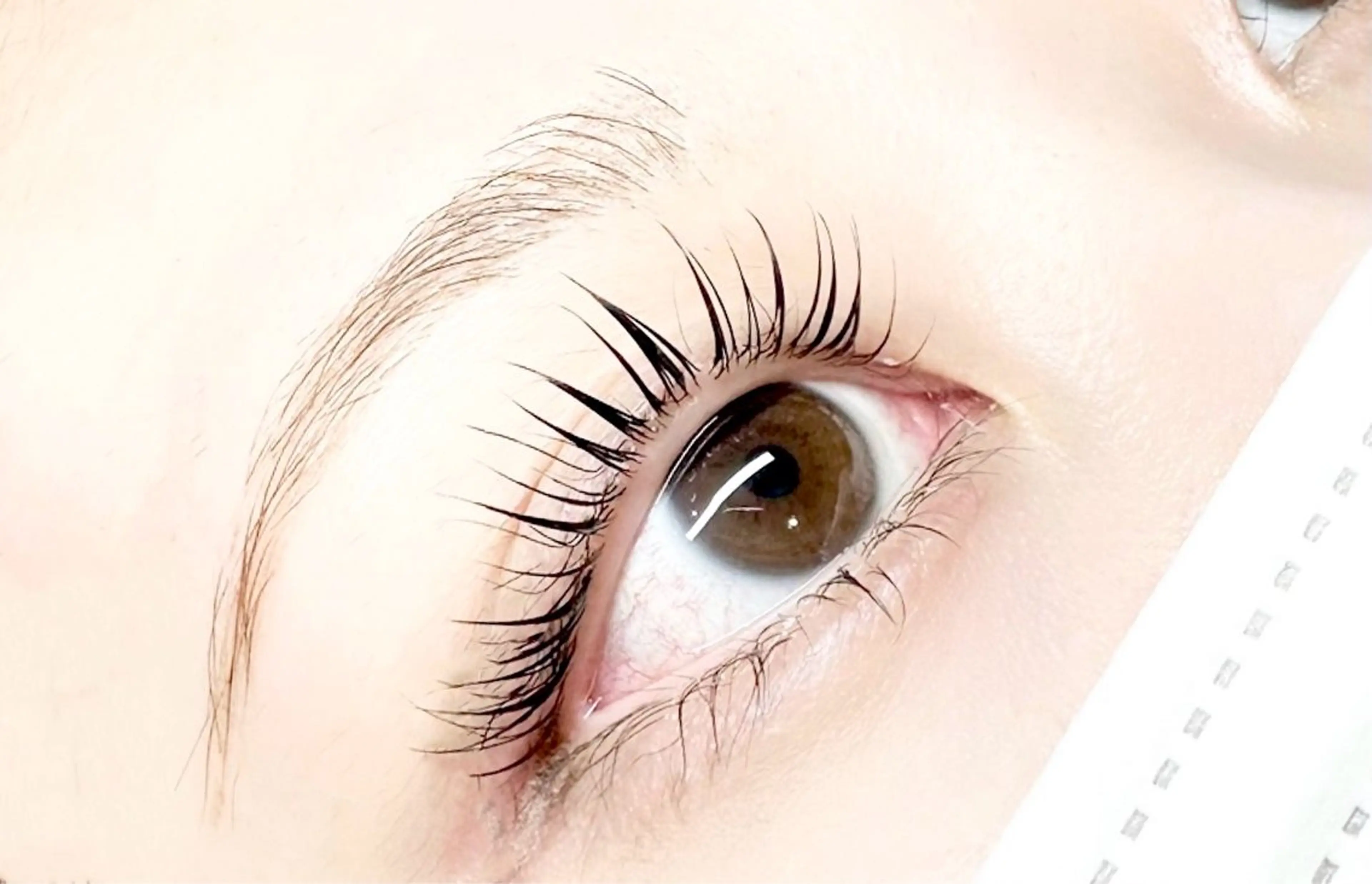 マツエク・マツパ eye lash🪽 subaruのマツエク・マツパデザイン