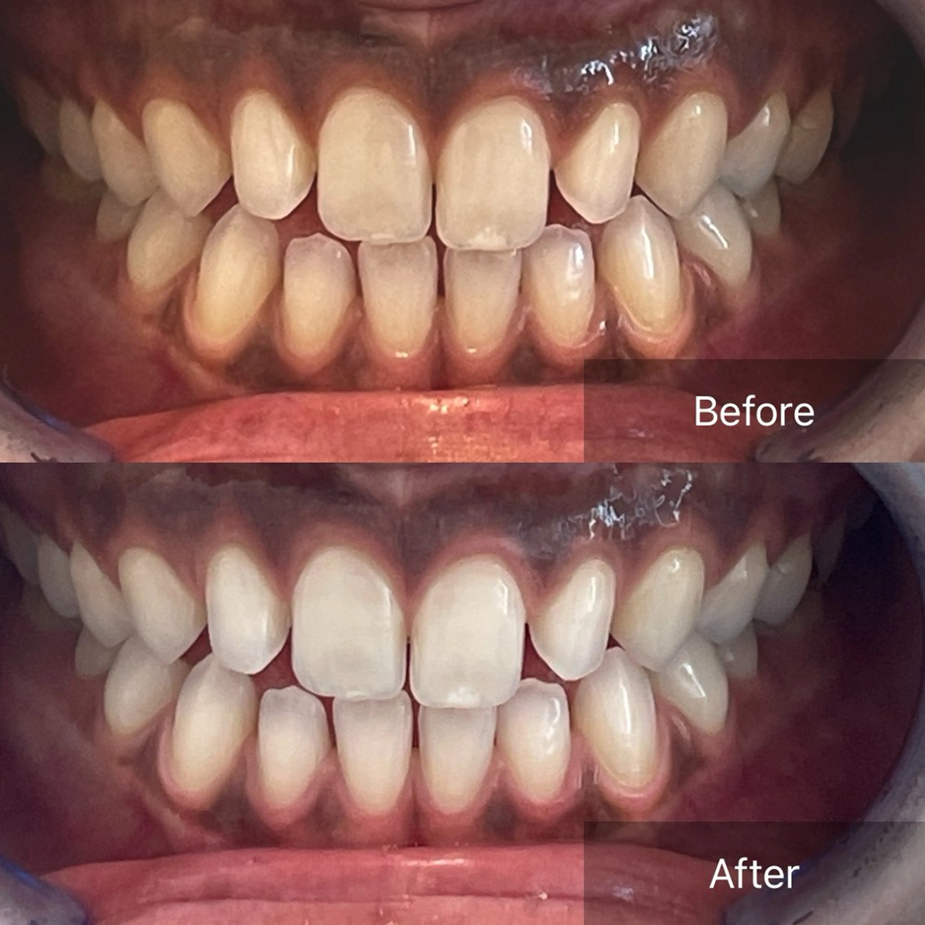 岡本 由香理のその他イメージ