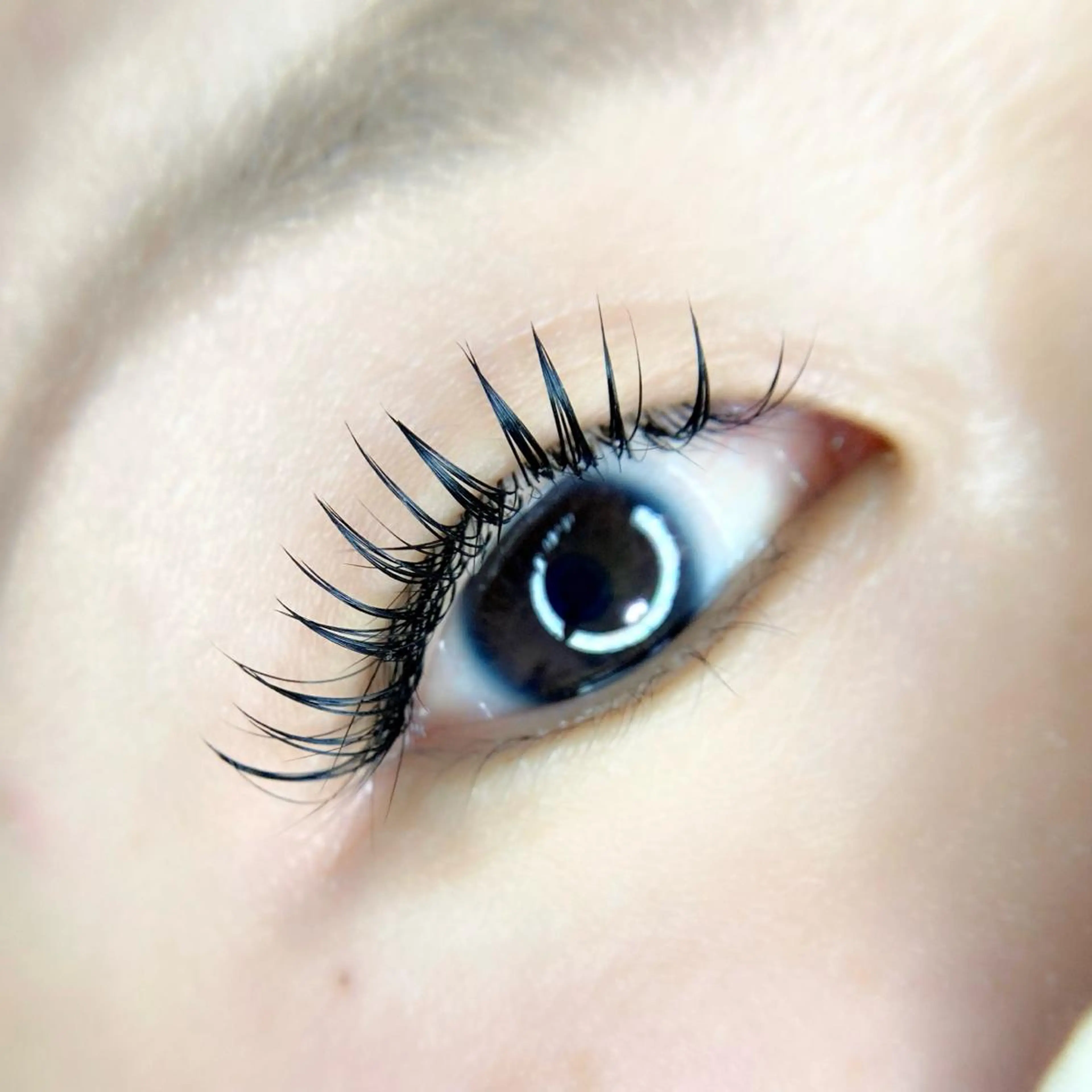 マツエク・マツパ 付け放題 束感まつ毛 ｉｃｈｉ ...のマツエク・マツパデザイン