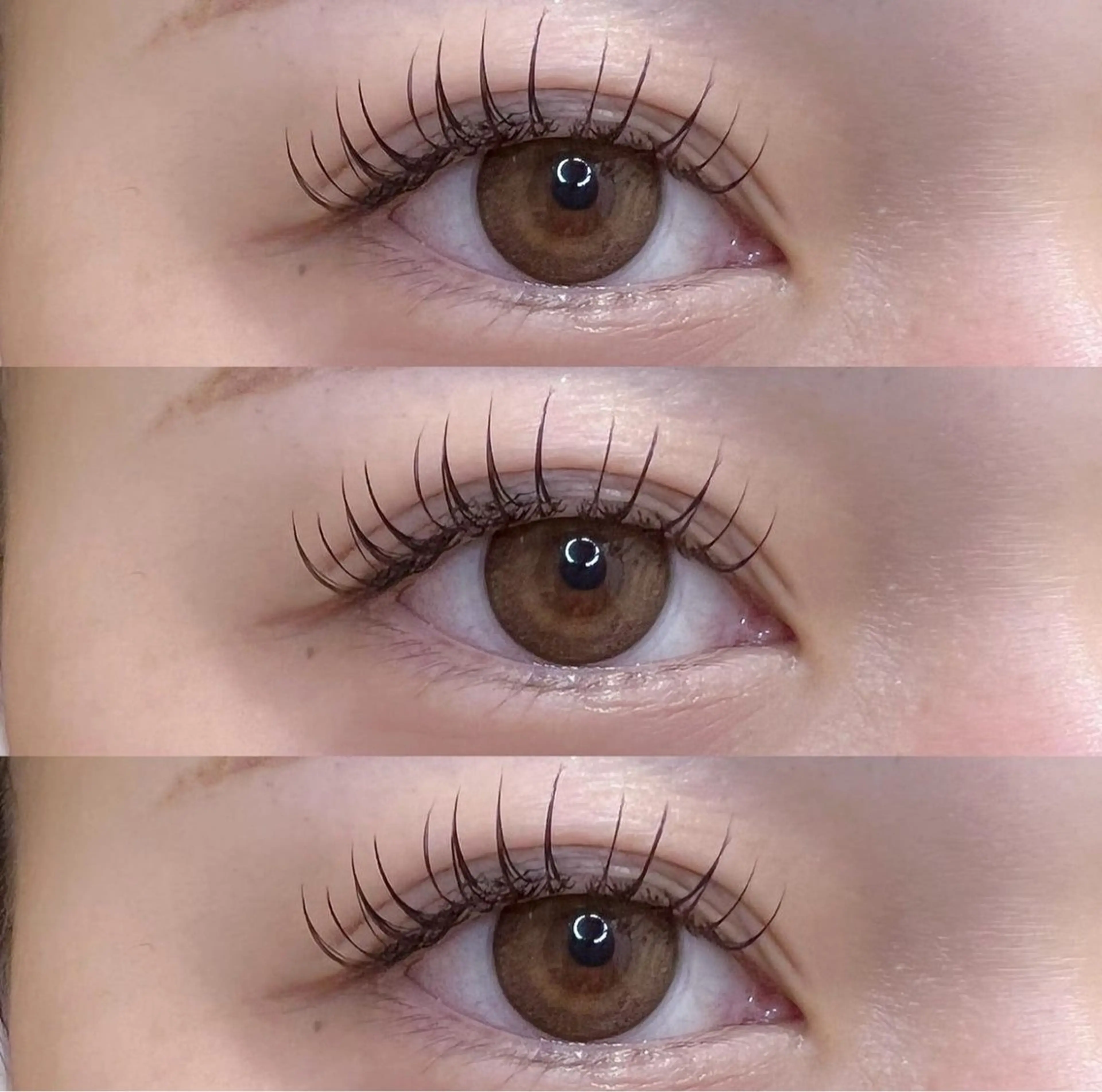 minimo限定🧸フラットラッシュ黒120本🧸🪞の写真