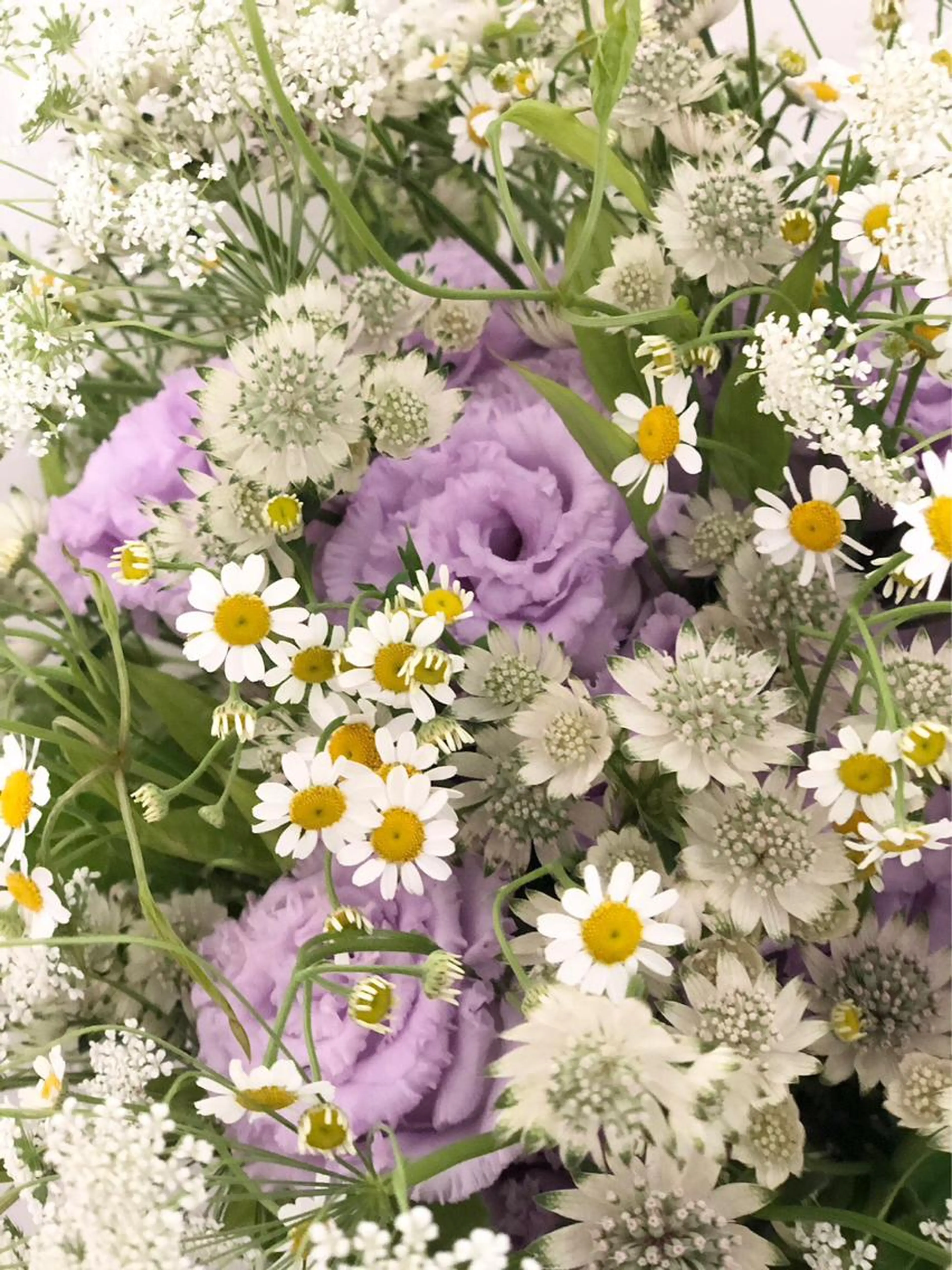 🔴カット＋シャンプー&トリートメント＋ヘッドスパ＋スタイリング　※ロング料金なしの写真