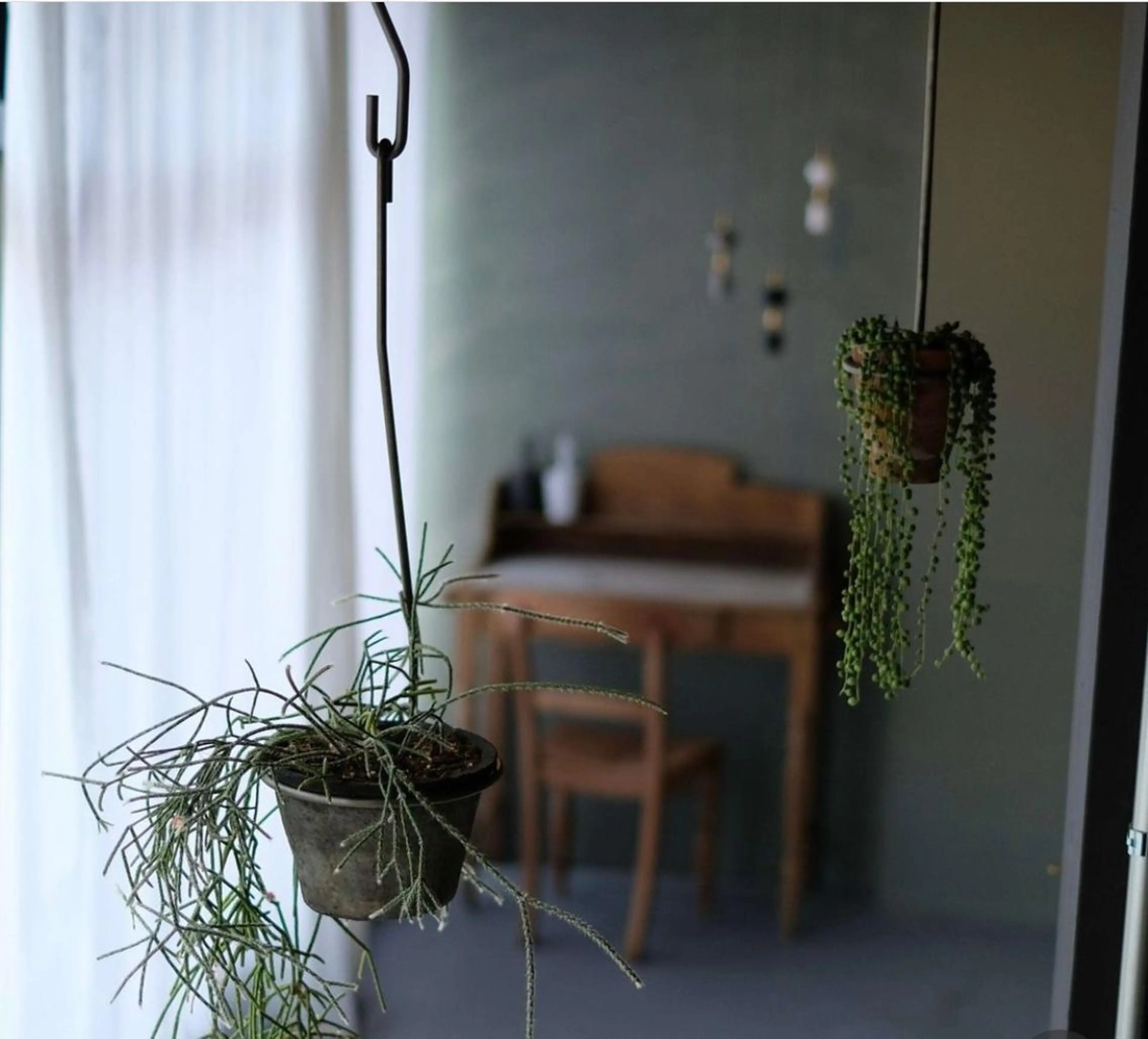 ハンド＋フット♡ワンカラー/オフ無しの写真