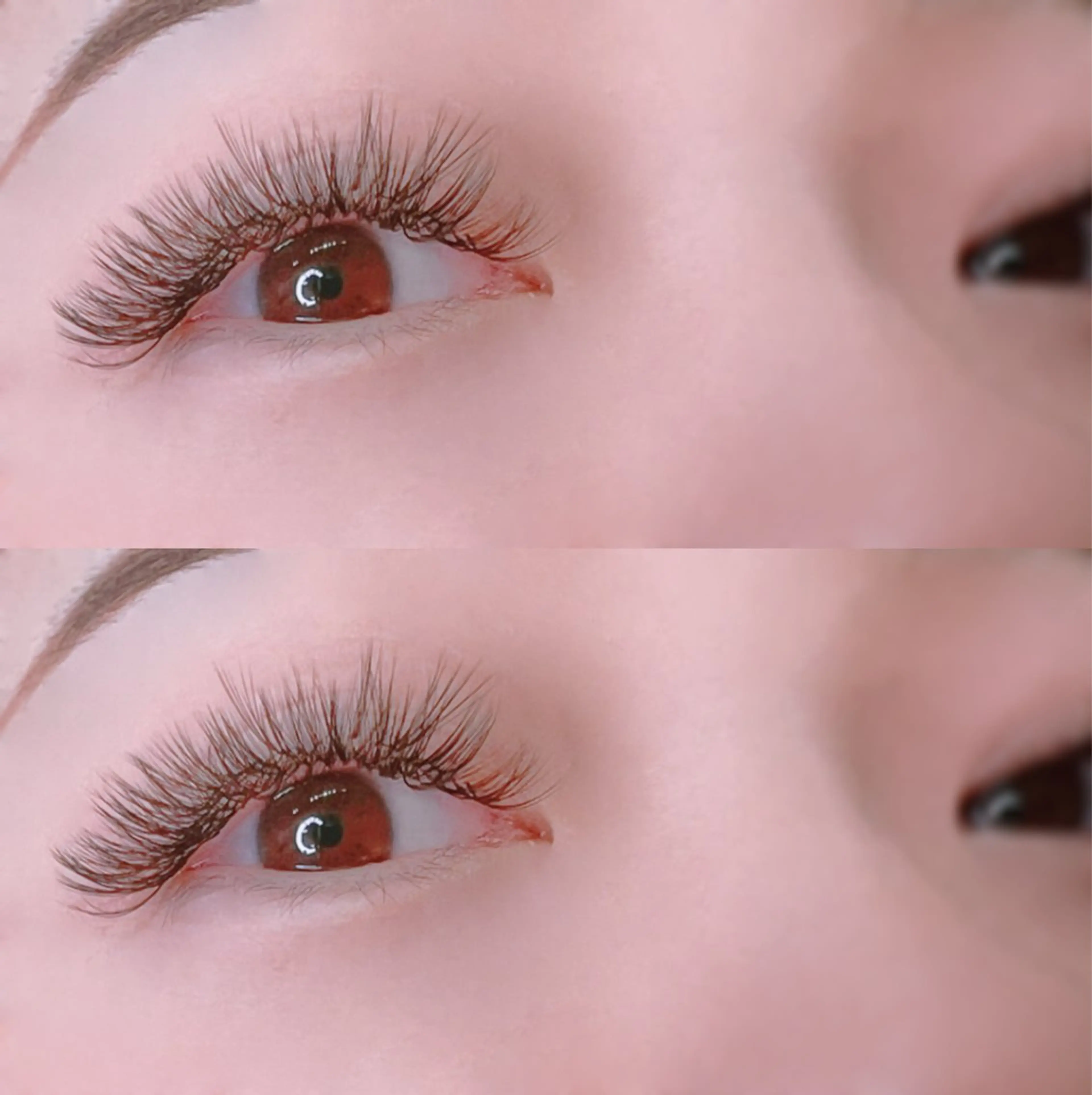 🌷《ボリューム重視》3D​〜​5Dボリュームラッシュ100束　アイシャンプー+コーティング付🌷の写真