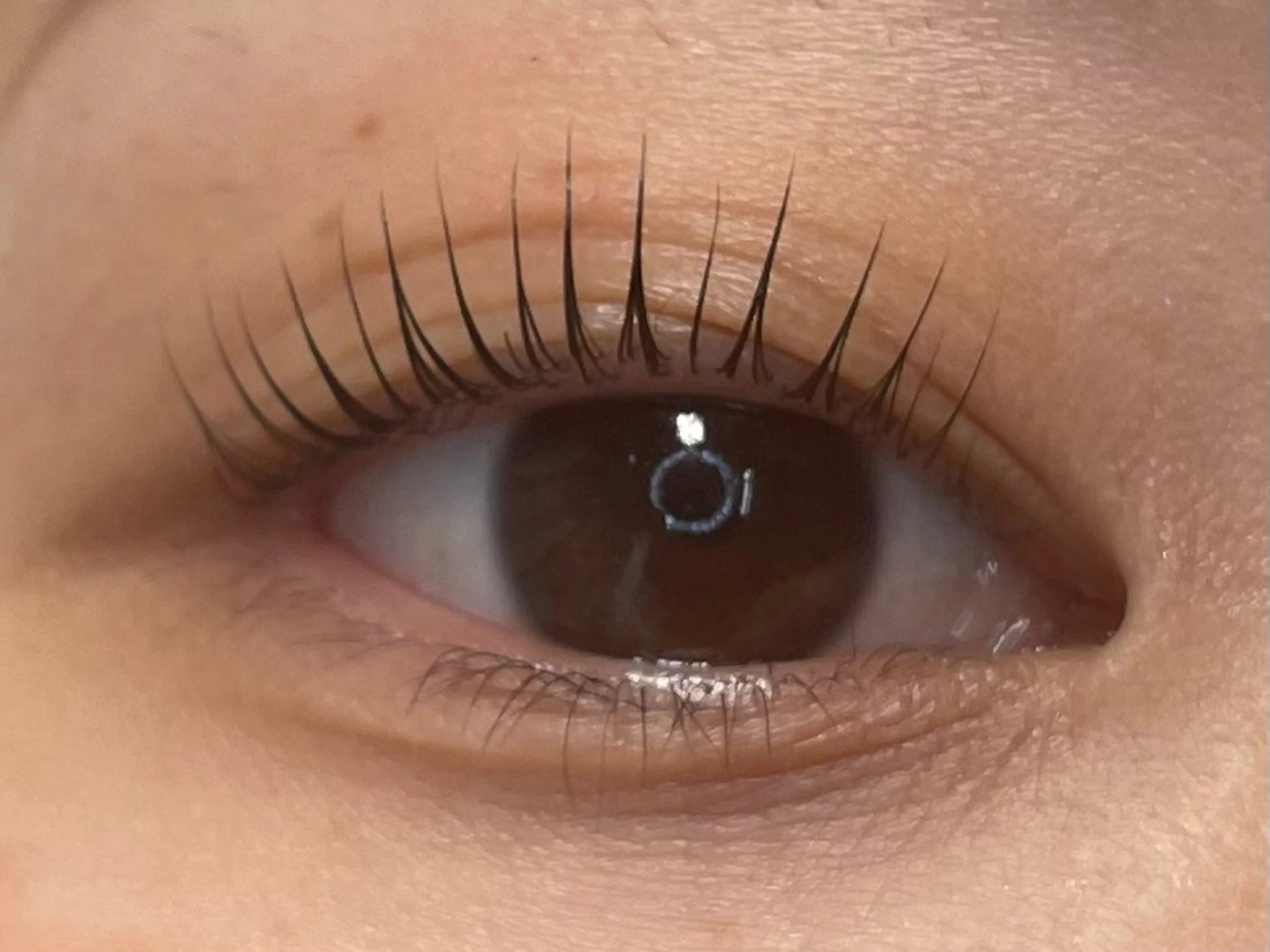 マツエク・マツパ マツパ eyelash CLAYの眉毛・アイブロウイメージ