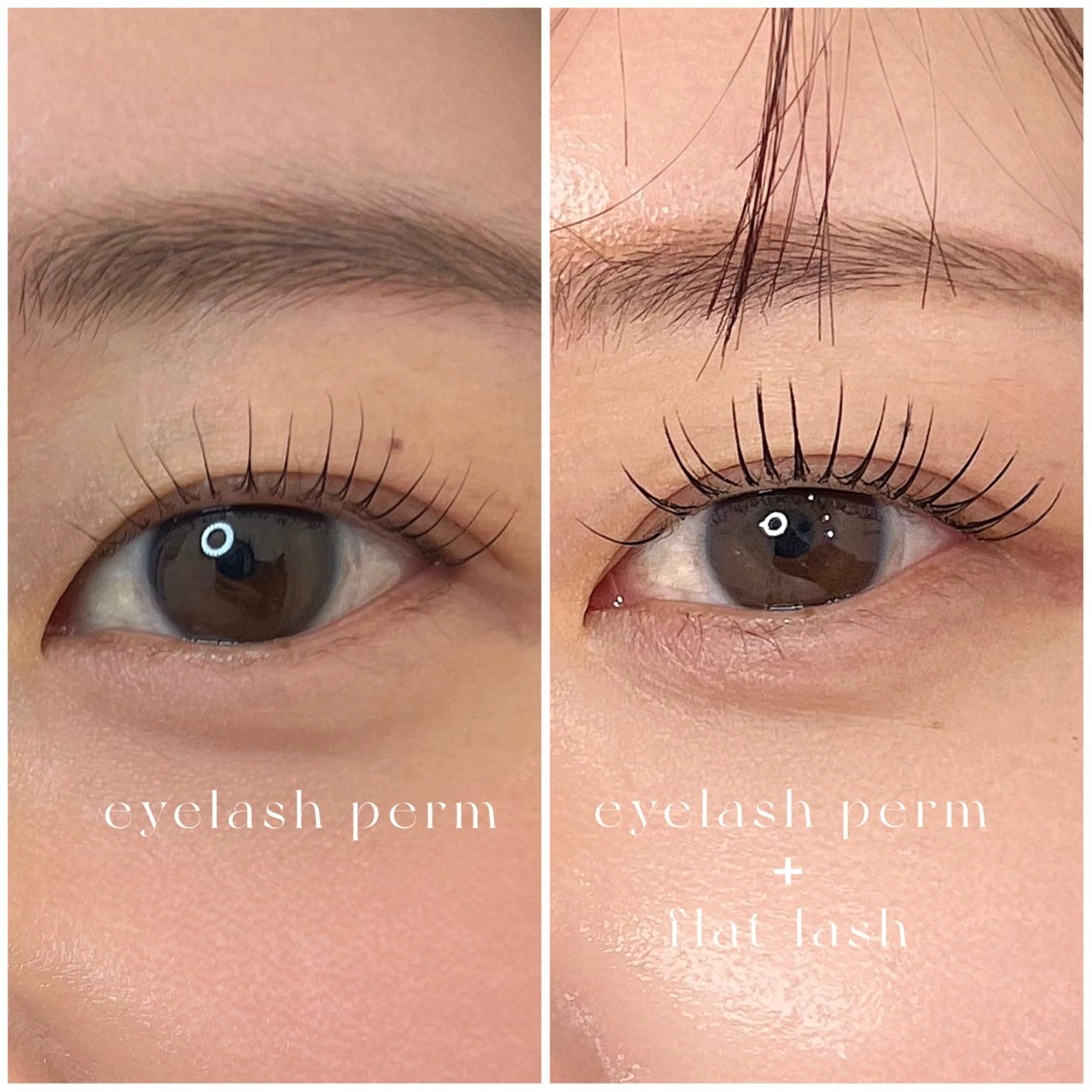 【マツパで物足りない方必見✨】まつ毛パーマ+LEDマツエク60本(アイシャンプー.コーティング仕上げ付き)の写真