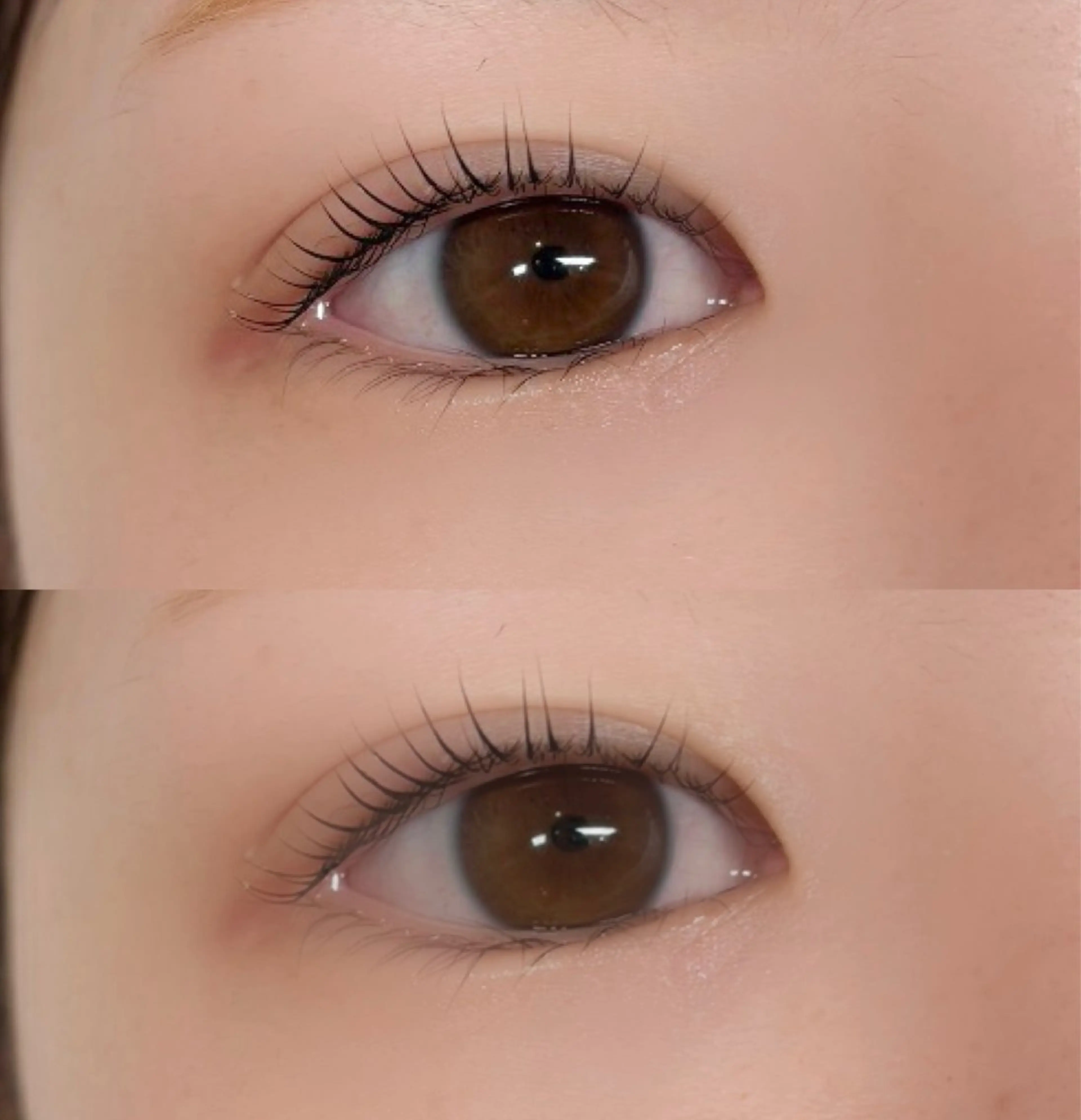 マツエク・マツパ マツパ Maria pinklagoonのマツエク・マツパデザイン