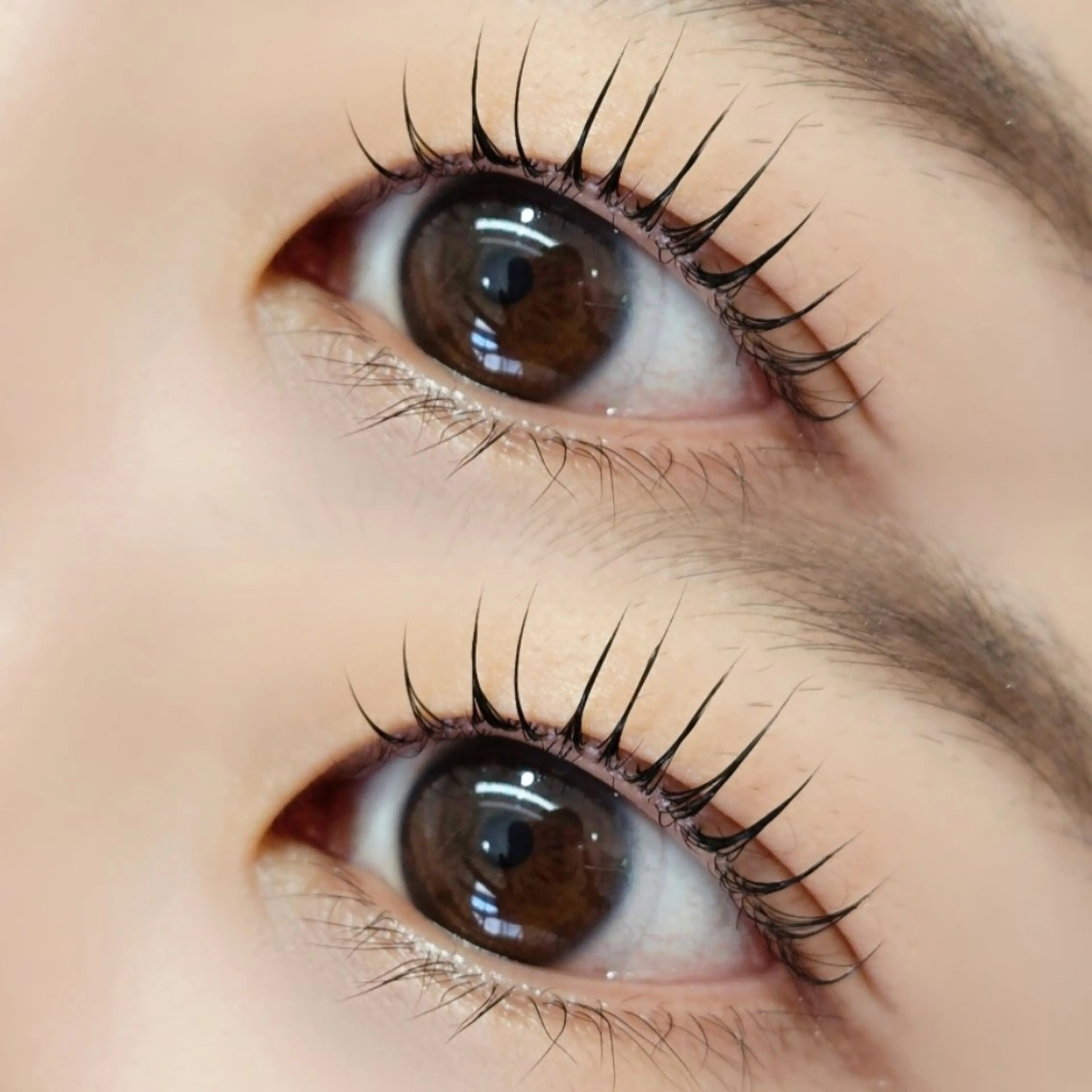 パリジェンヌラッシュリフト🩰 コーティング仕上げ✨の写真