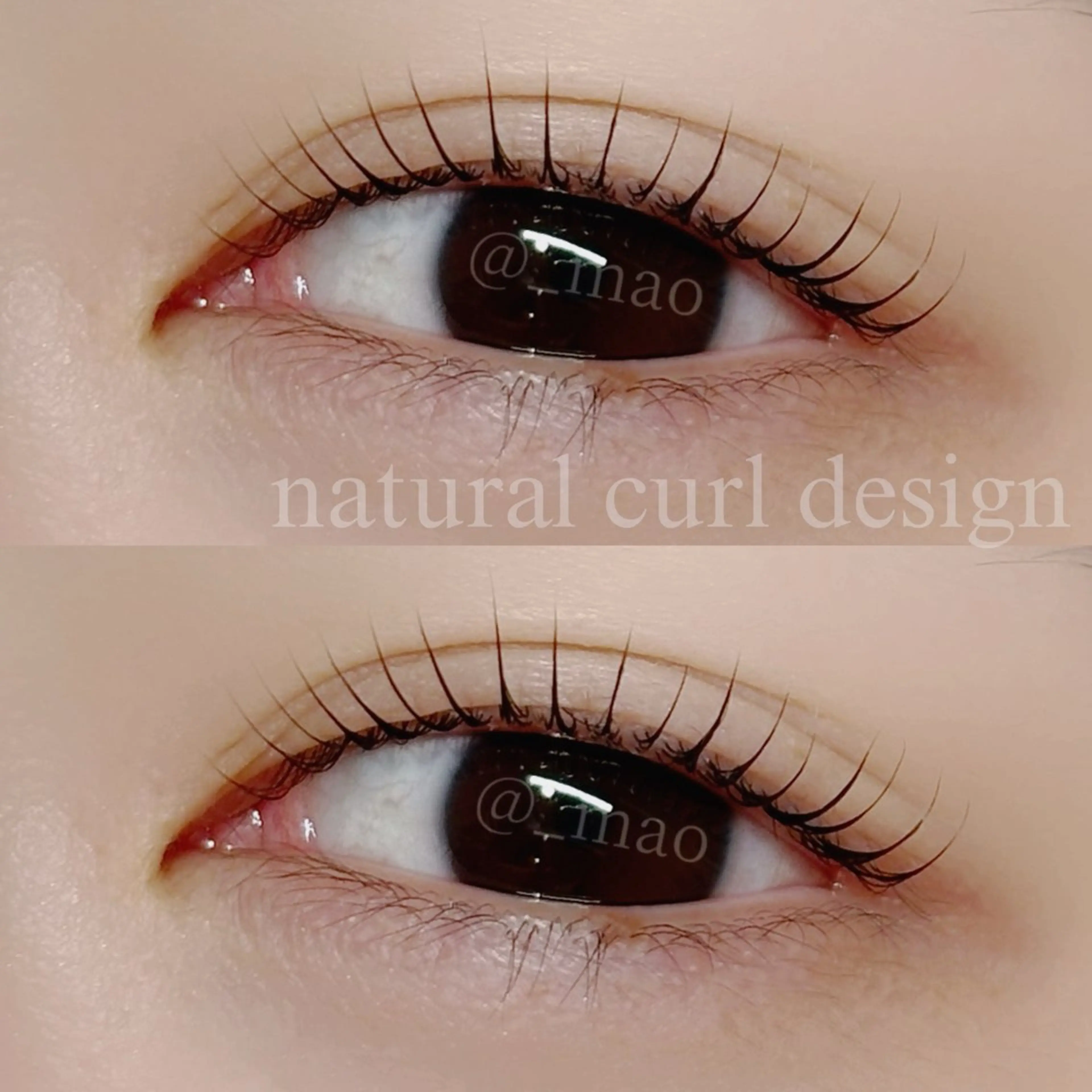 マツエク・マツパ 束感まつ毛 ナチュラル マツパ 🦋𝐌𝐀𝐎🦋 表参道/韓国風まつげのマツエク・マツパデザイン