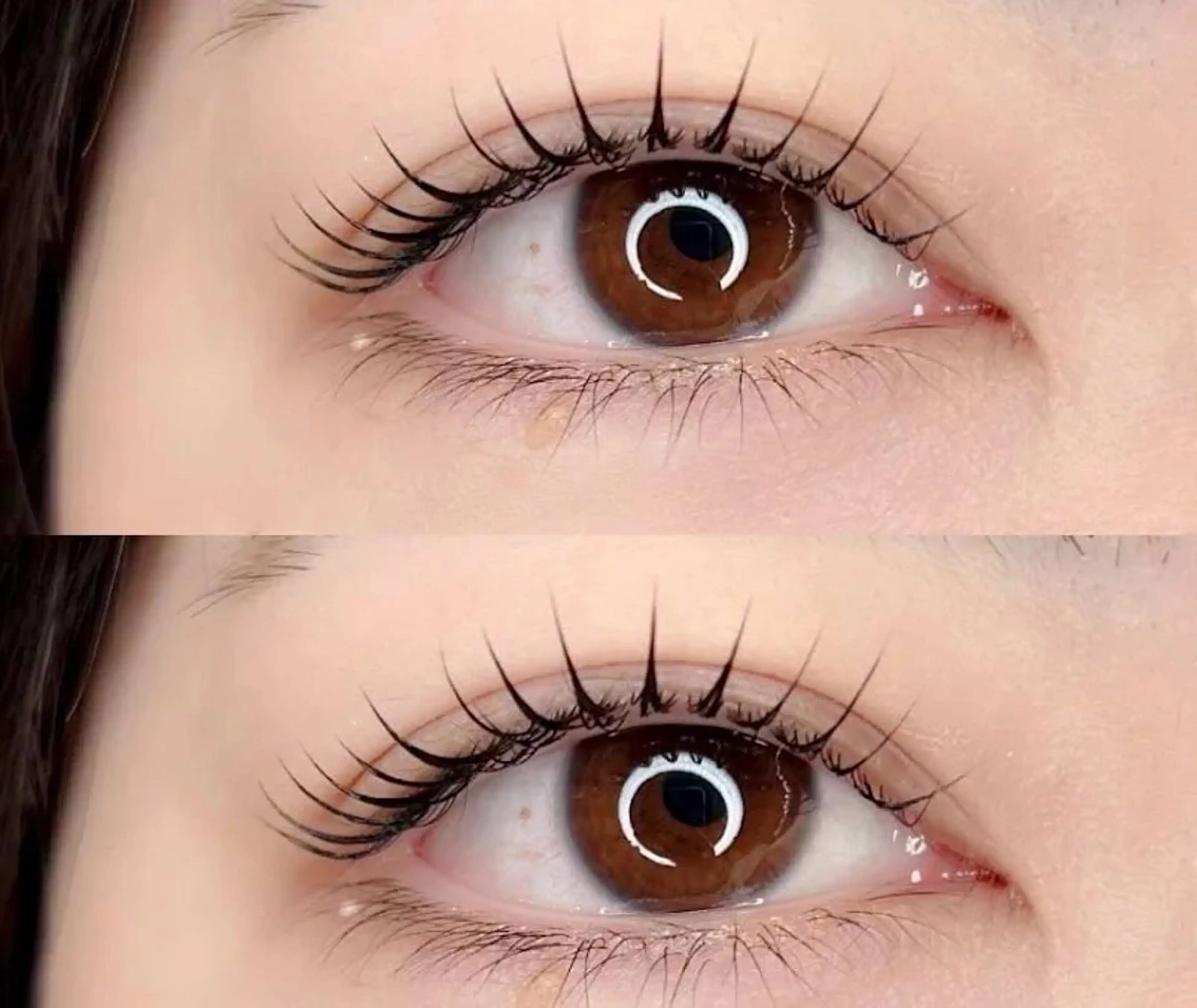 【まつげパーマ♣️】パリジェンヌラッシュリフト💞上のみ✧︎*。➕コーティング仕上げ✨✨の写真