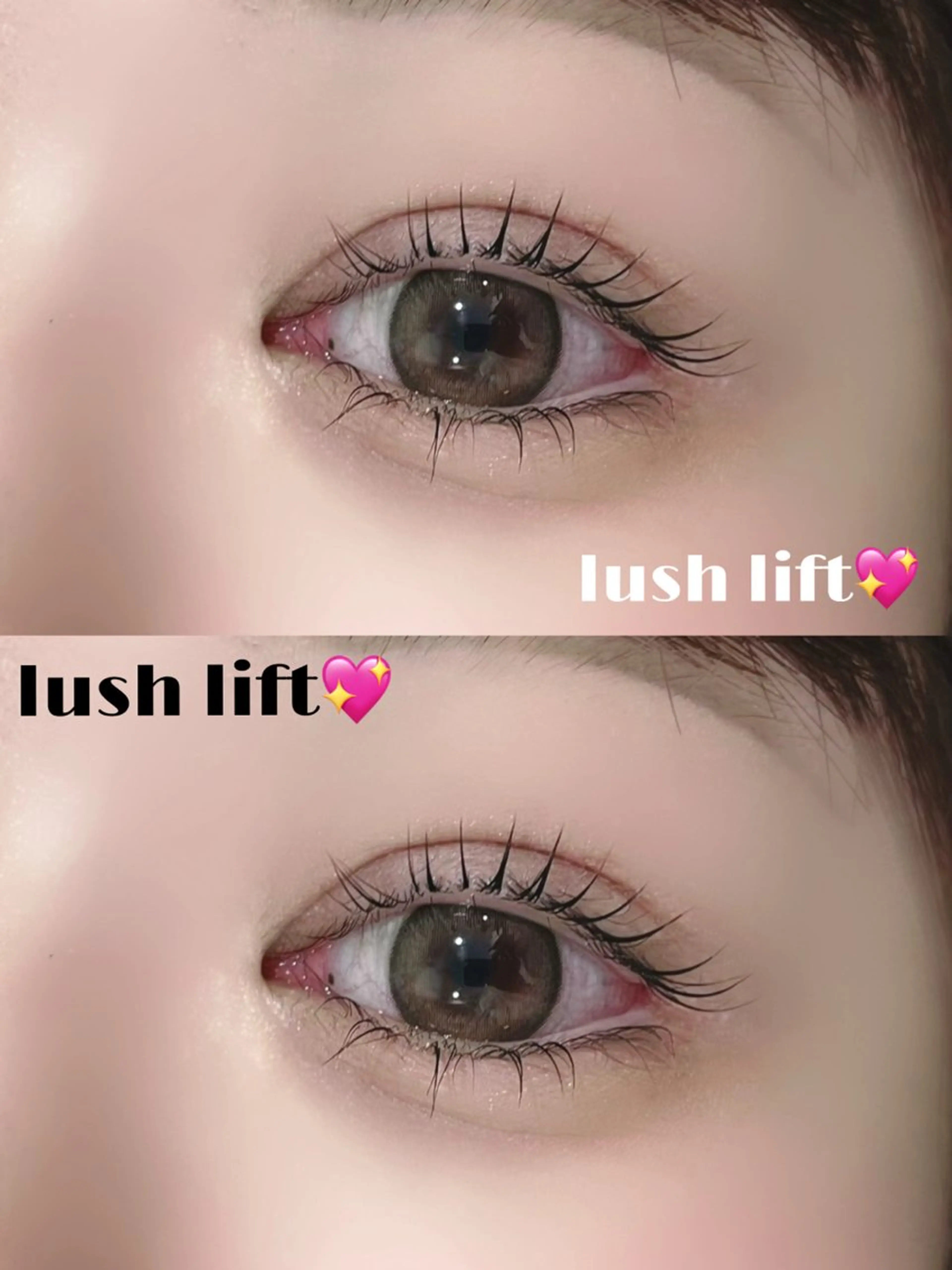 🧩上下ラッシュリフトorパリジェンヌ🧩➕コーティング付き💟の写真