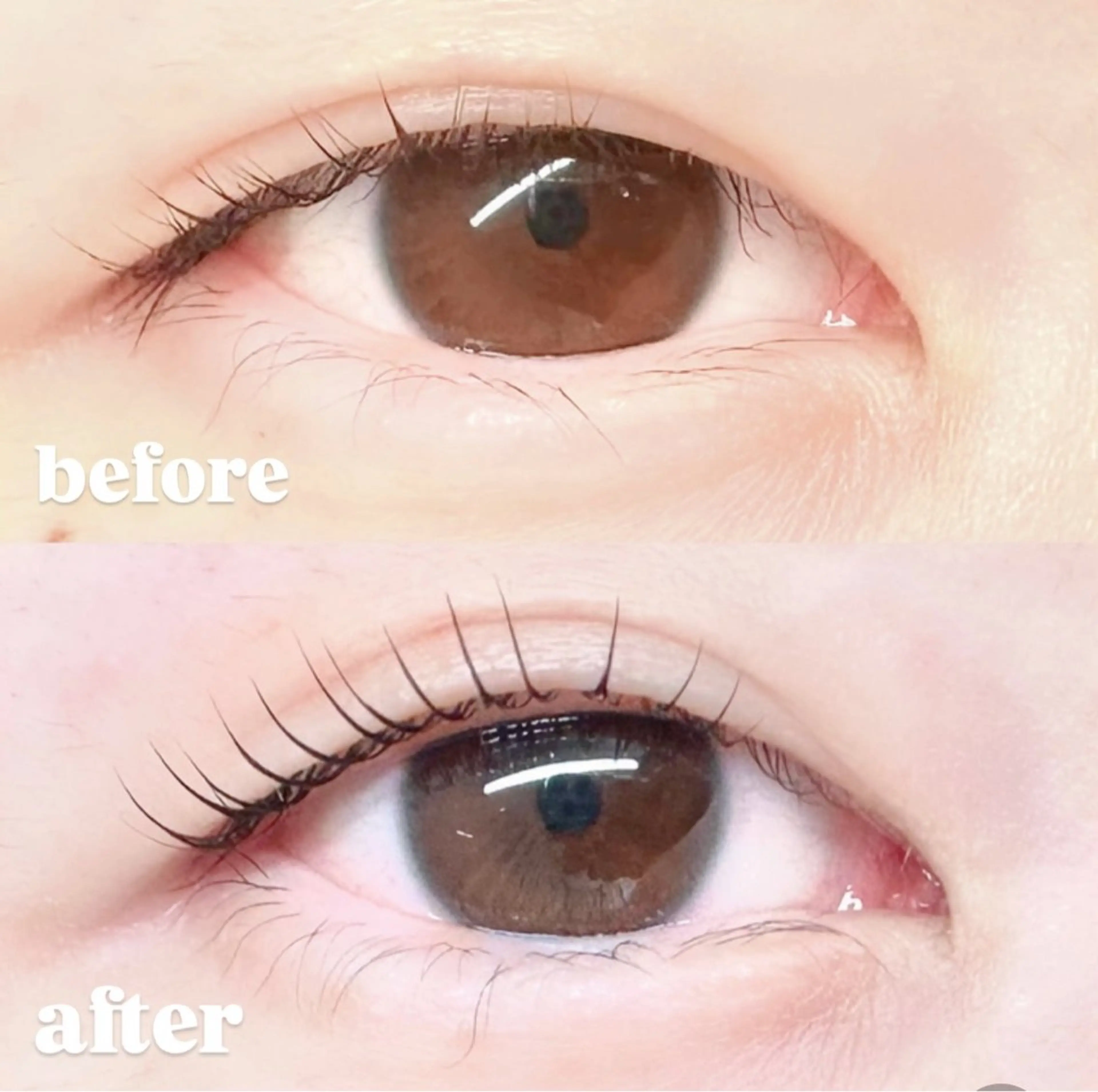 マツエク・マツパ パリジェンヌラッシュリフト 一重×まつ毛パーマ momoka 💕のマツエク・マツパデザイン