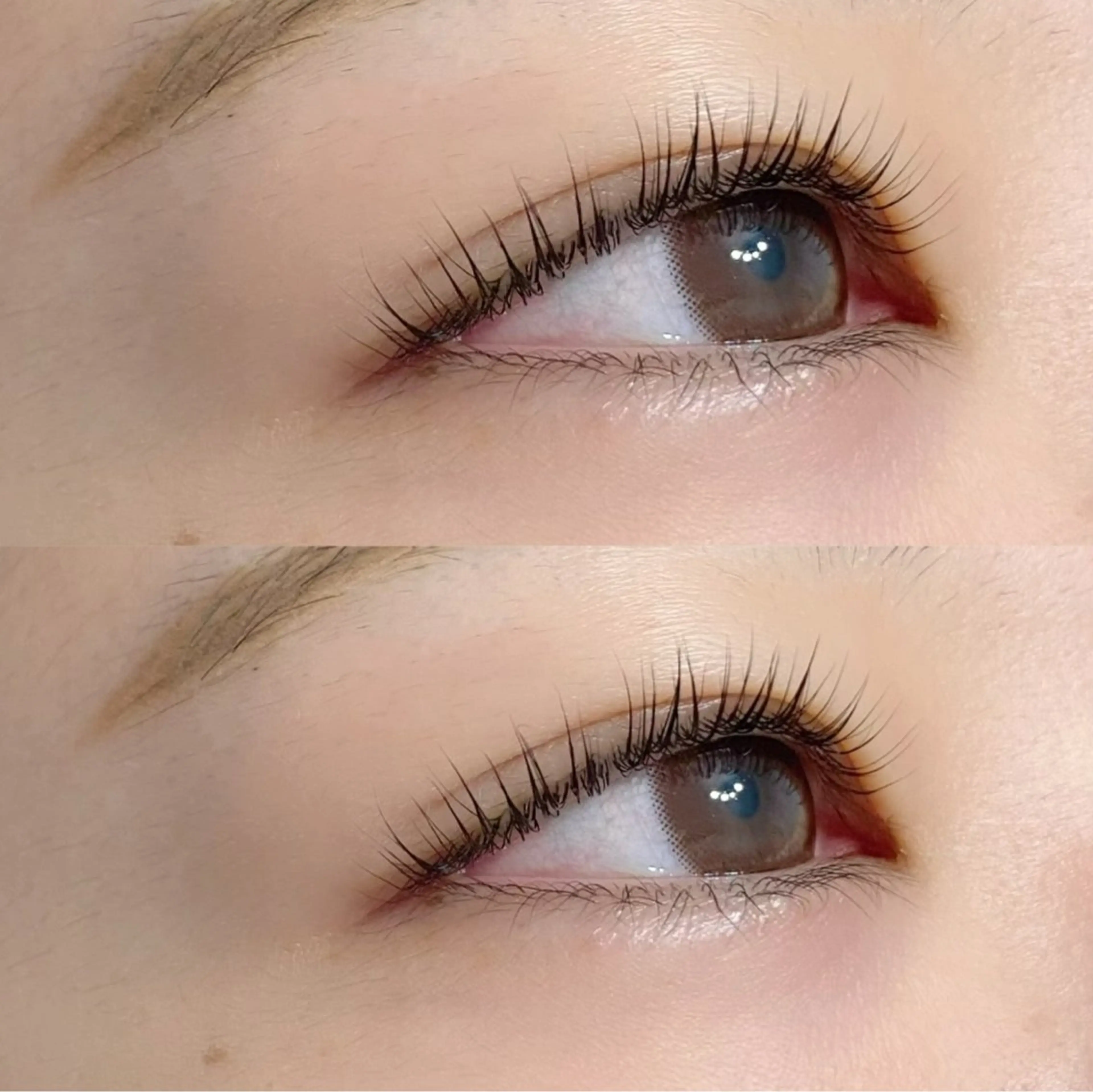 マスカラパーマ🩶ラッシュリフト＋ブラックティントの写真