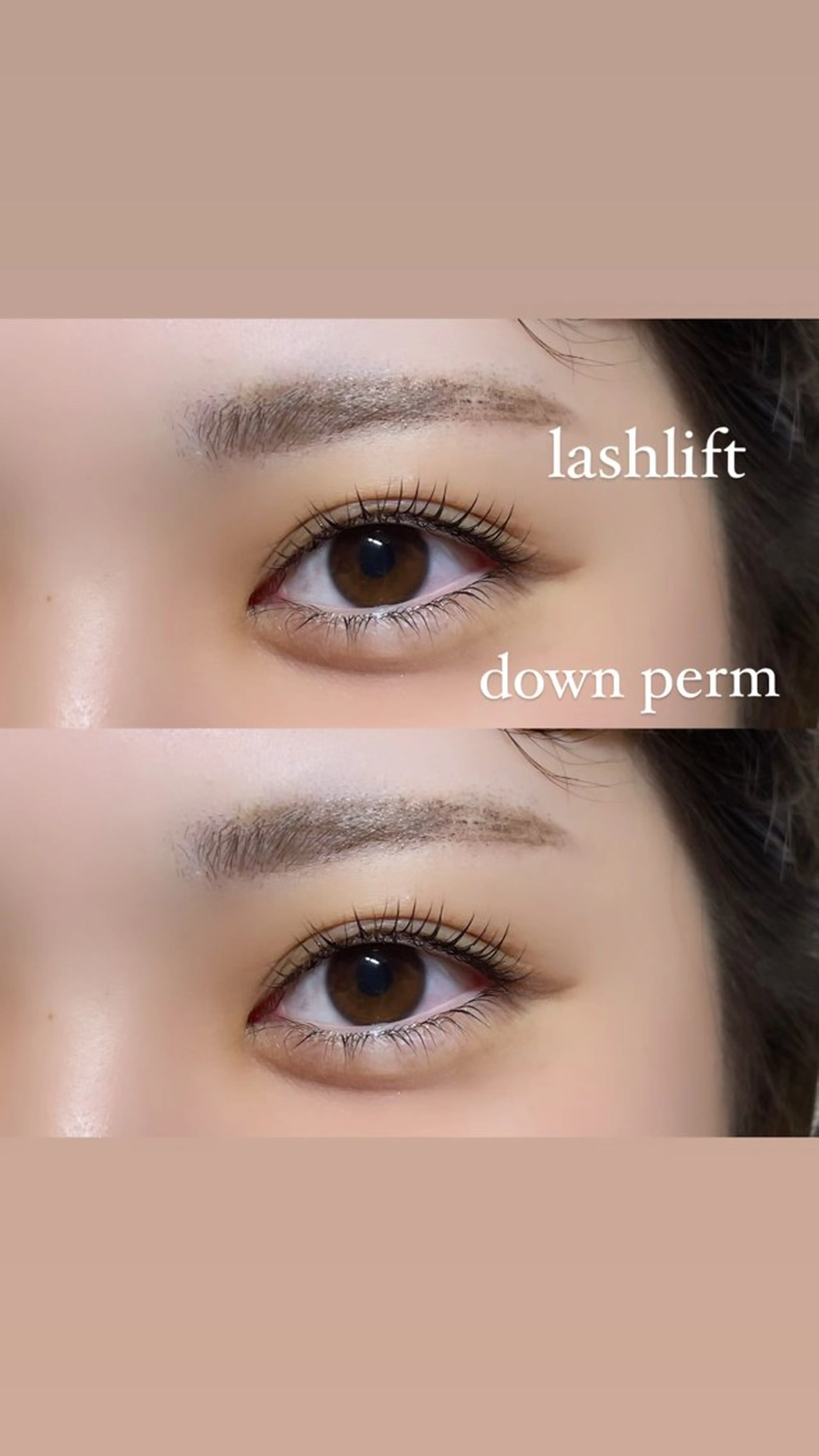 マツエク・マツパ まつげパーマ 下まつげエクステ noilashroo m恵比寿🎀Rukaのマツエク・マツパデザイン