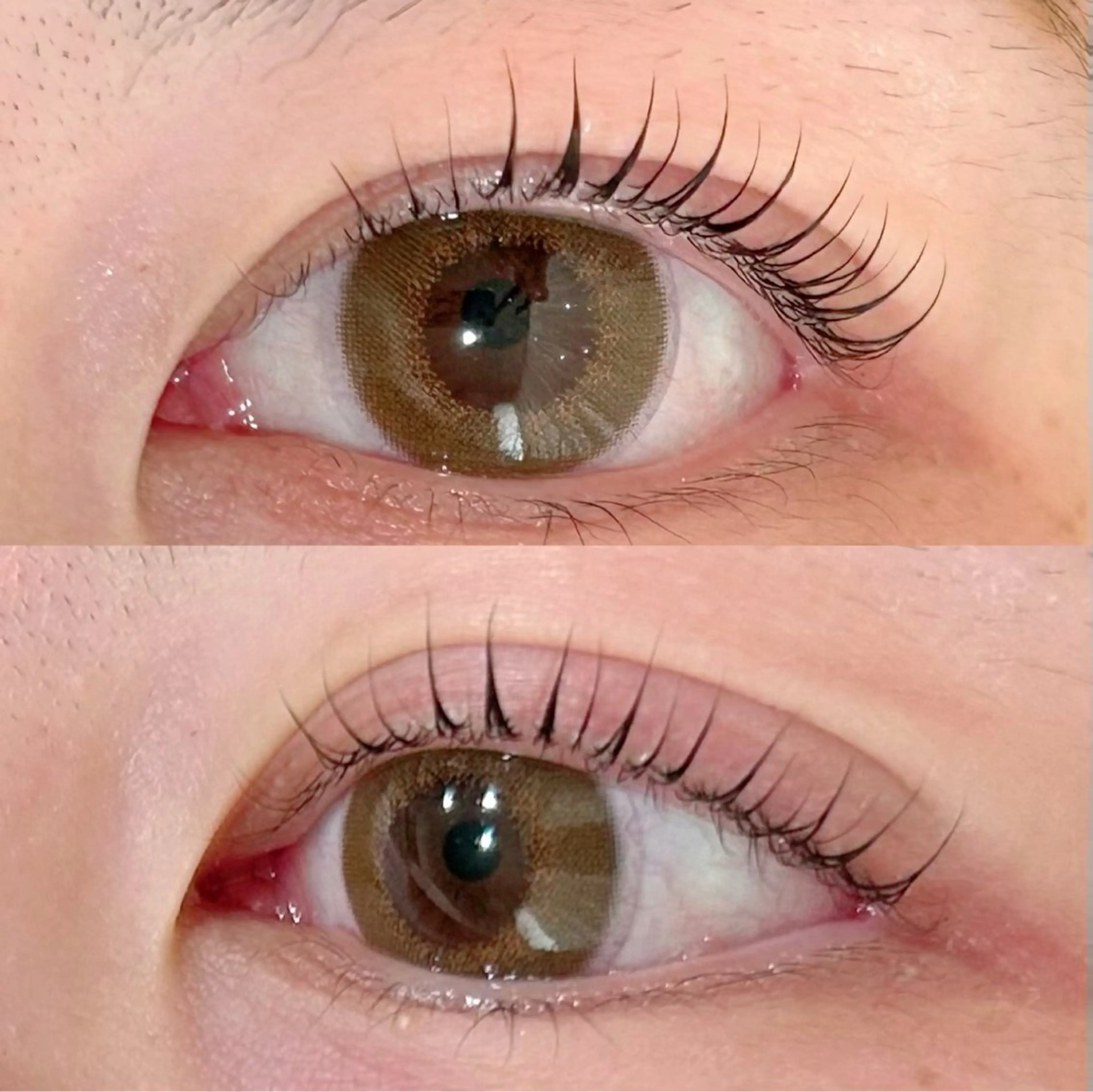 マツエク・マツパ KIMOTO 🐈‍⬛🤍のマツエク・マツパデザイン