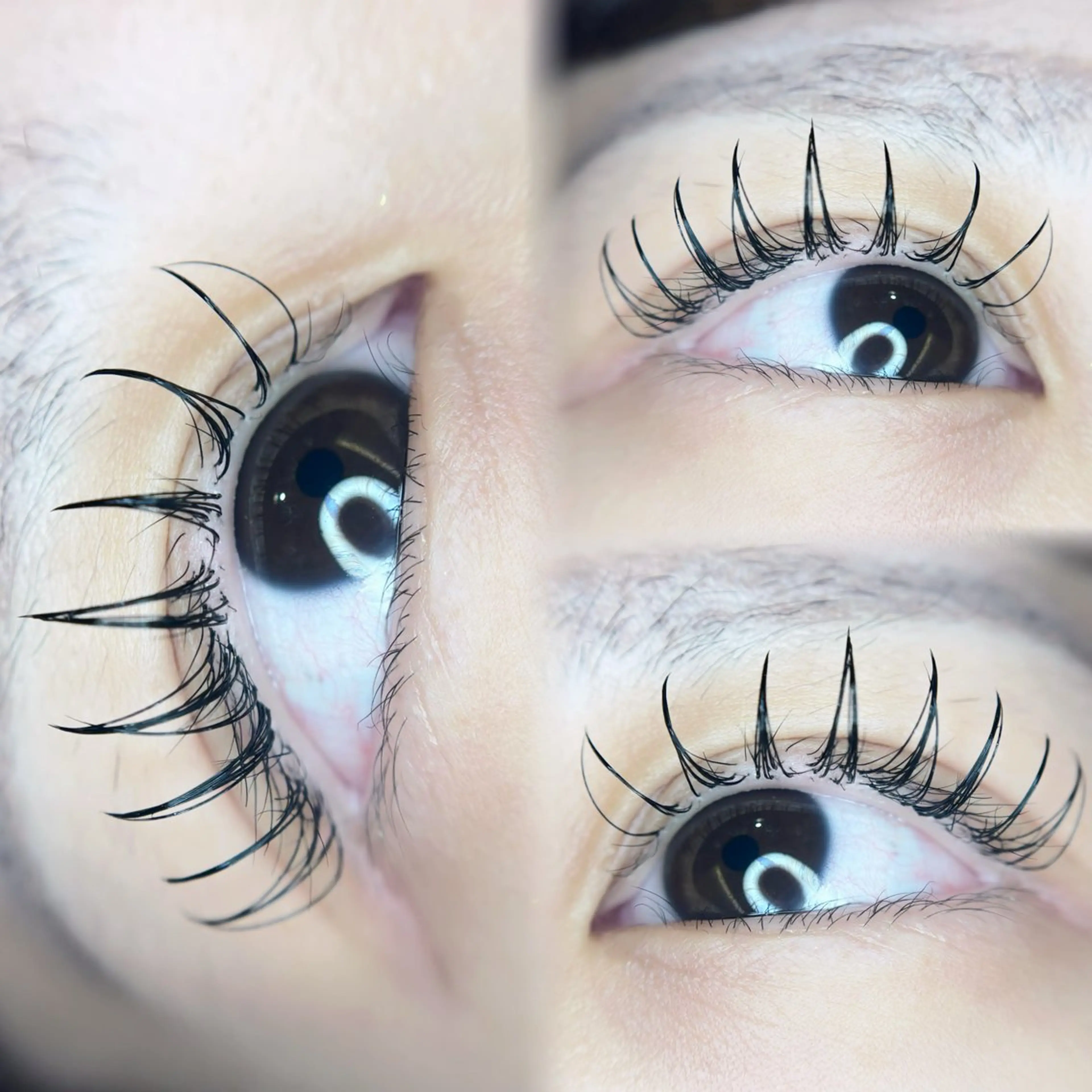 <再来の方>フラットラッシュ60本【オフ込み】の写真