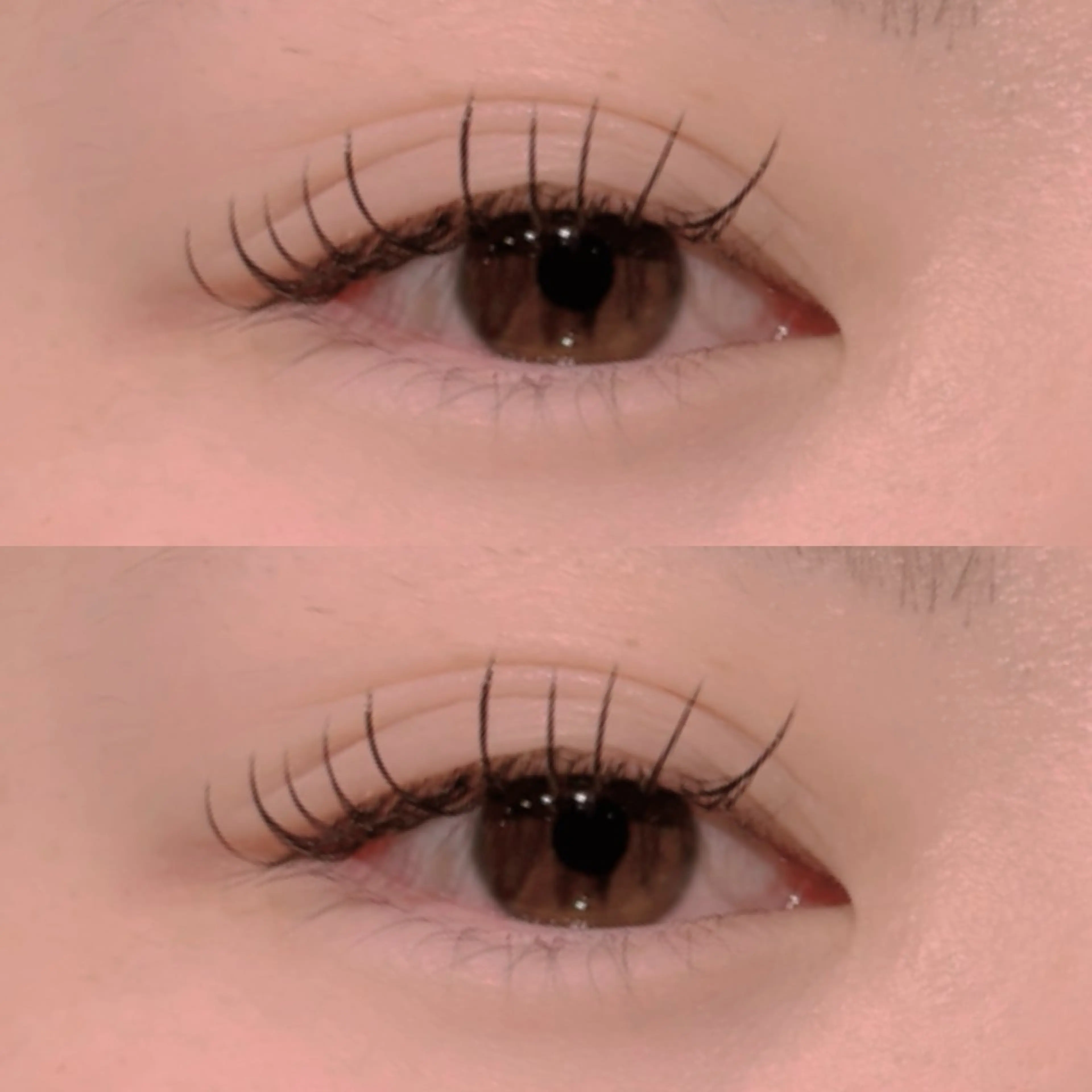 マツエク・マツパ Cカール フラットラッシュ Mai 🌺のマツエク・マツパデザイン