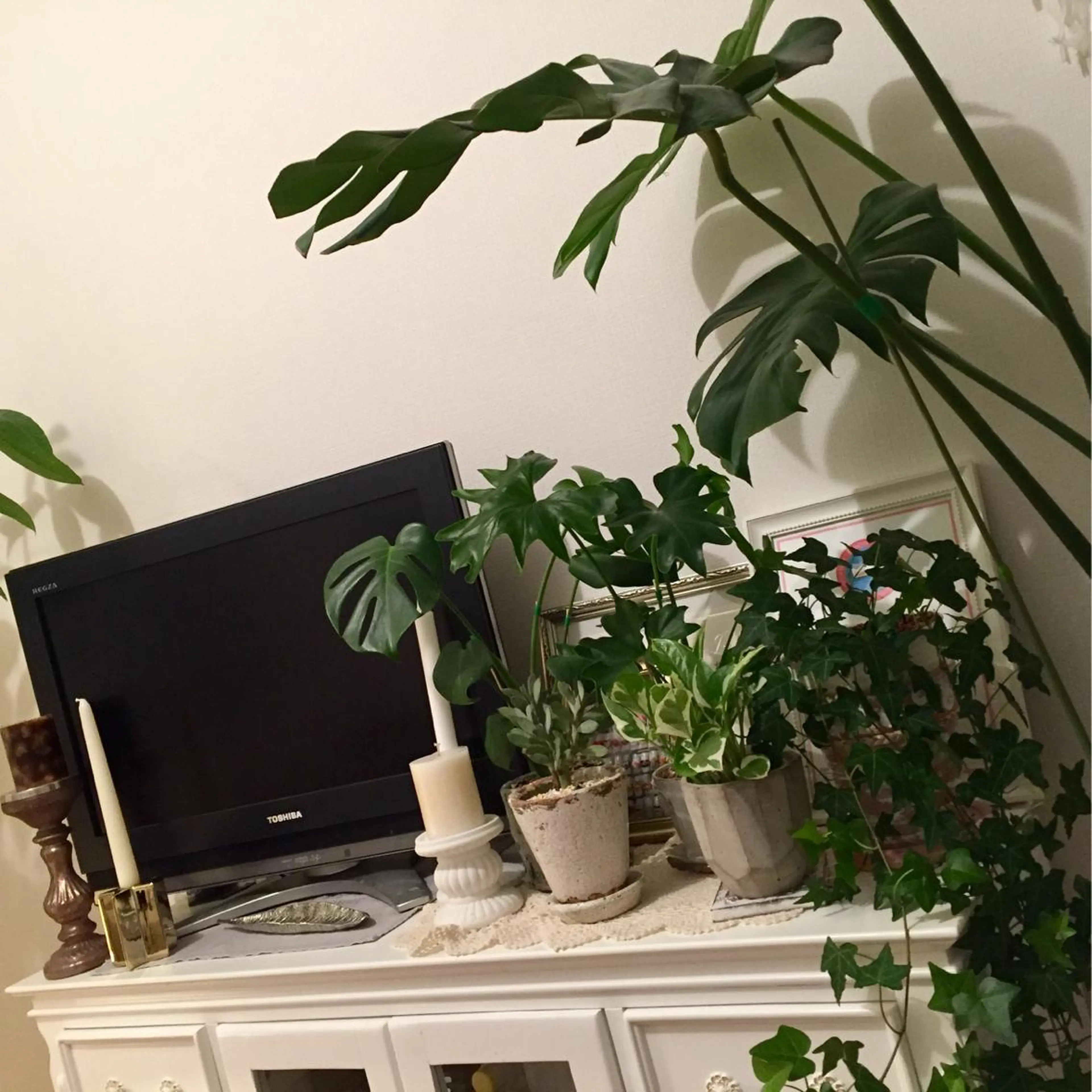 atelier chic+のネイルデザイン