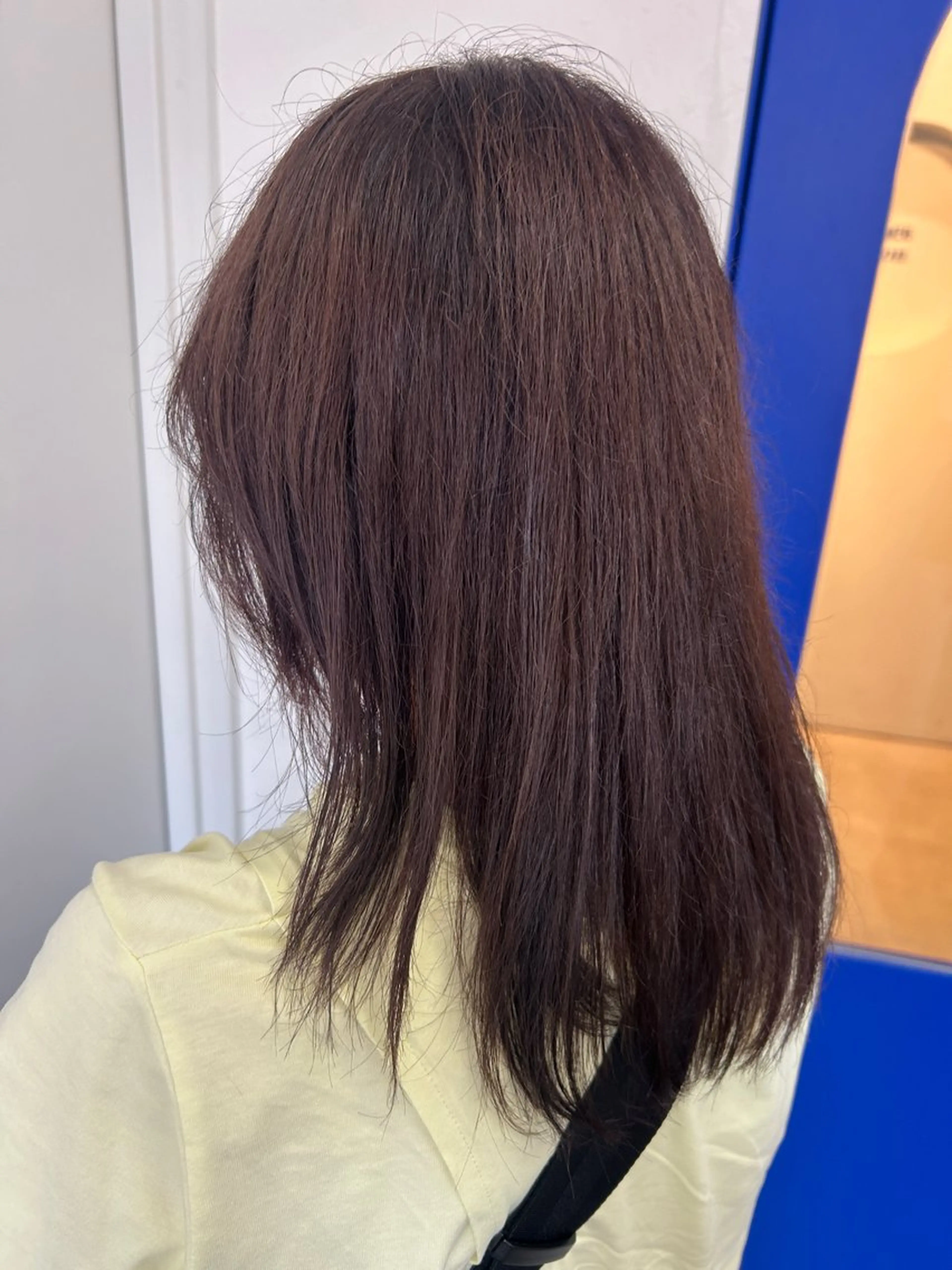 ロング カラー ブラウンカラー バイオレットカラー バイオレットブラウン 久木原 ゆりのヘアスタイル
