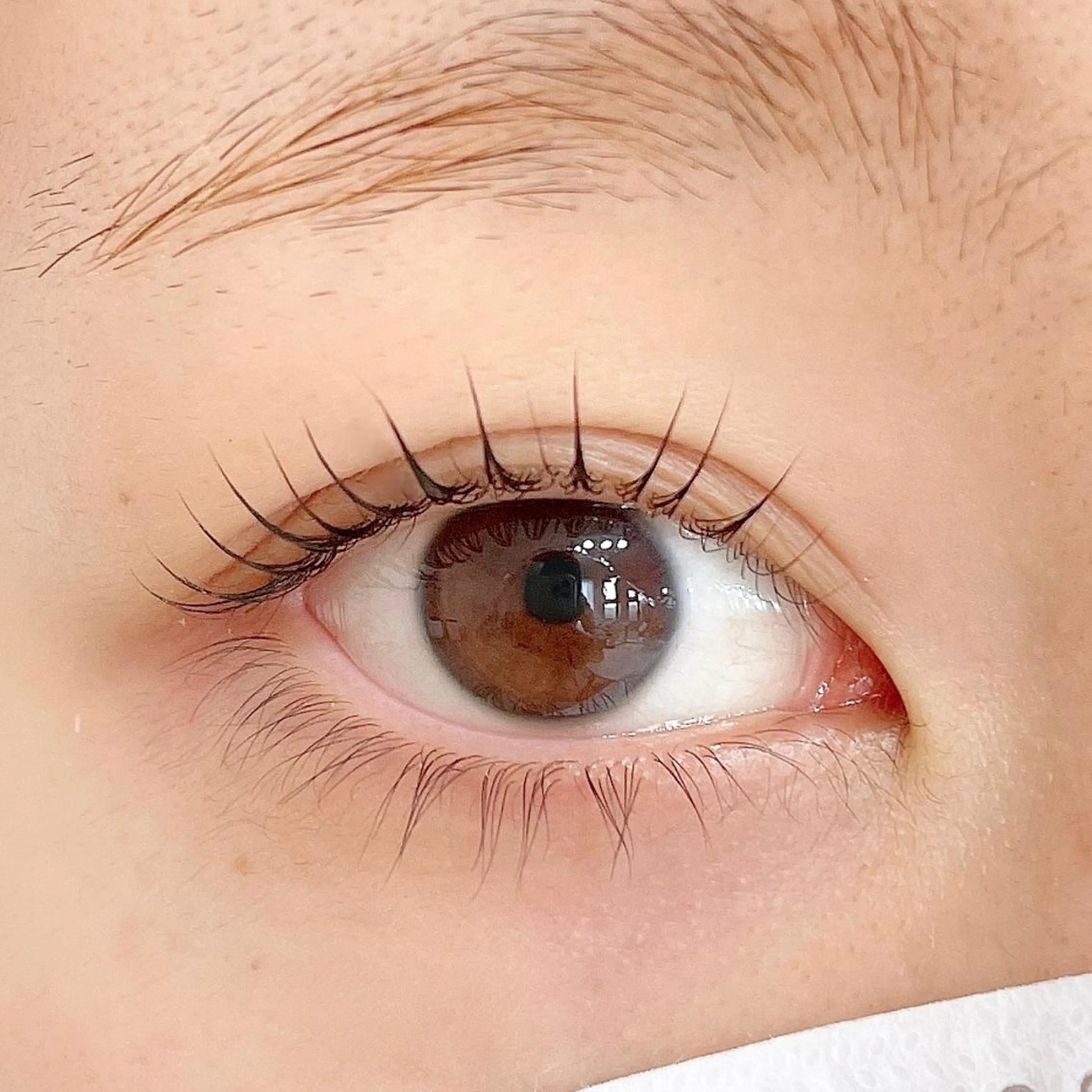 マツエク・マツパ ant_u🌷 arisaのマツエク・マツパデザイン