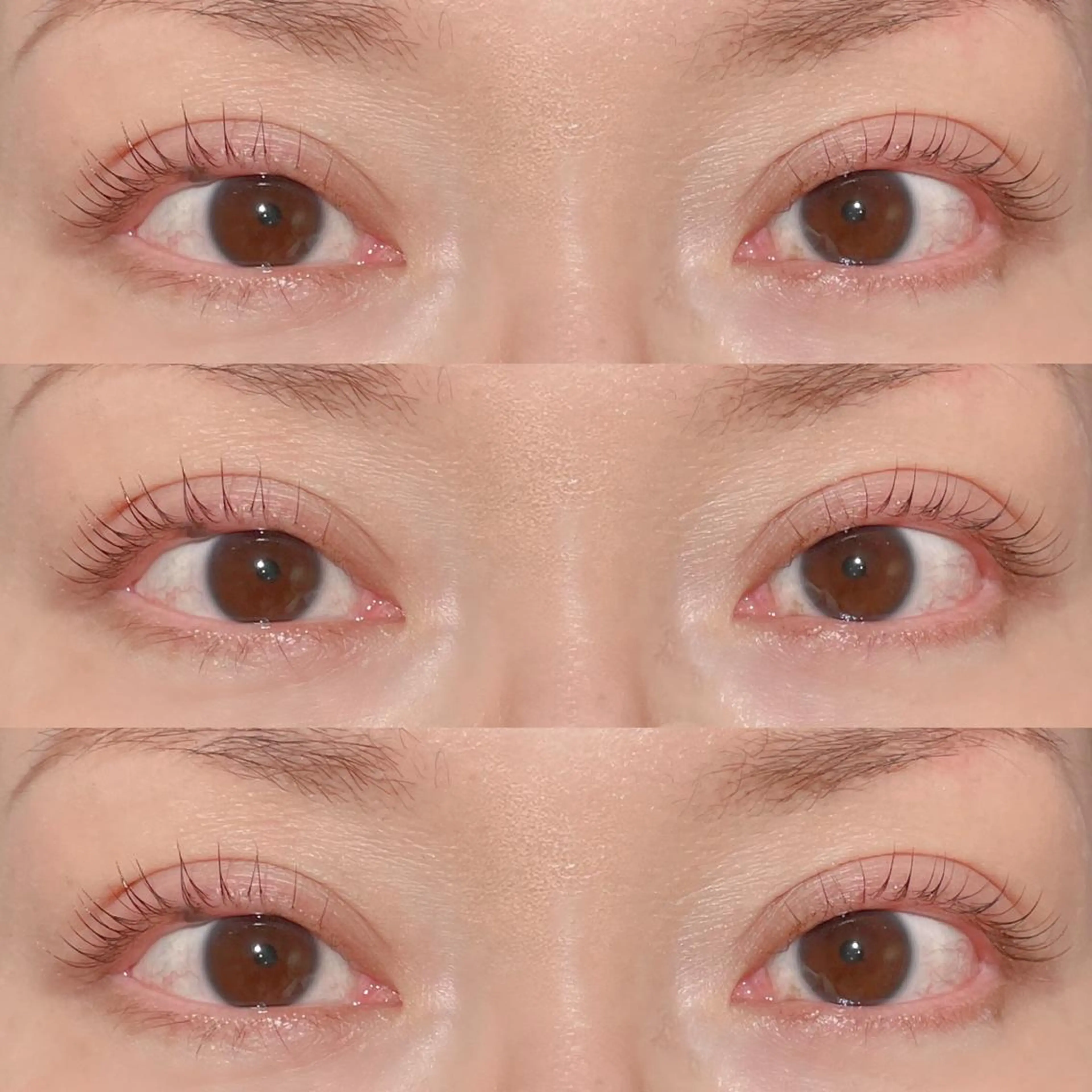 ãããšã¯ã»ããã ããã ððŒððð ððžðâã®ãããšã¯ã»ããããã¶ã€ã³