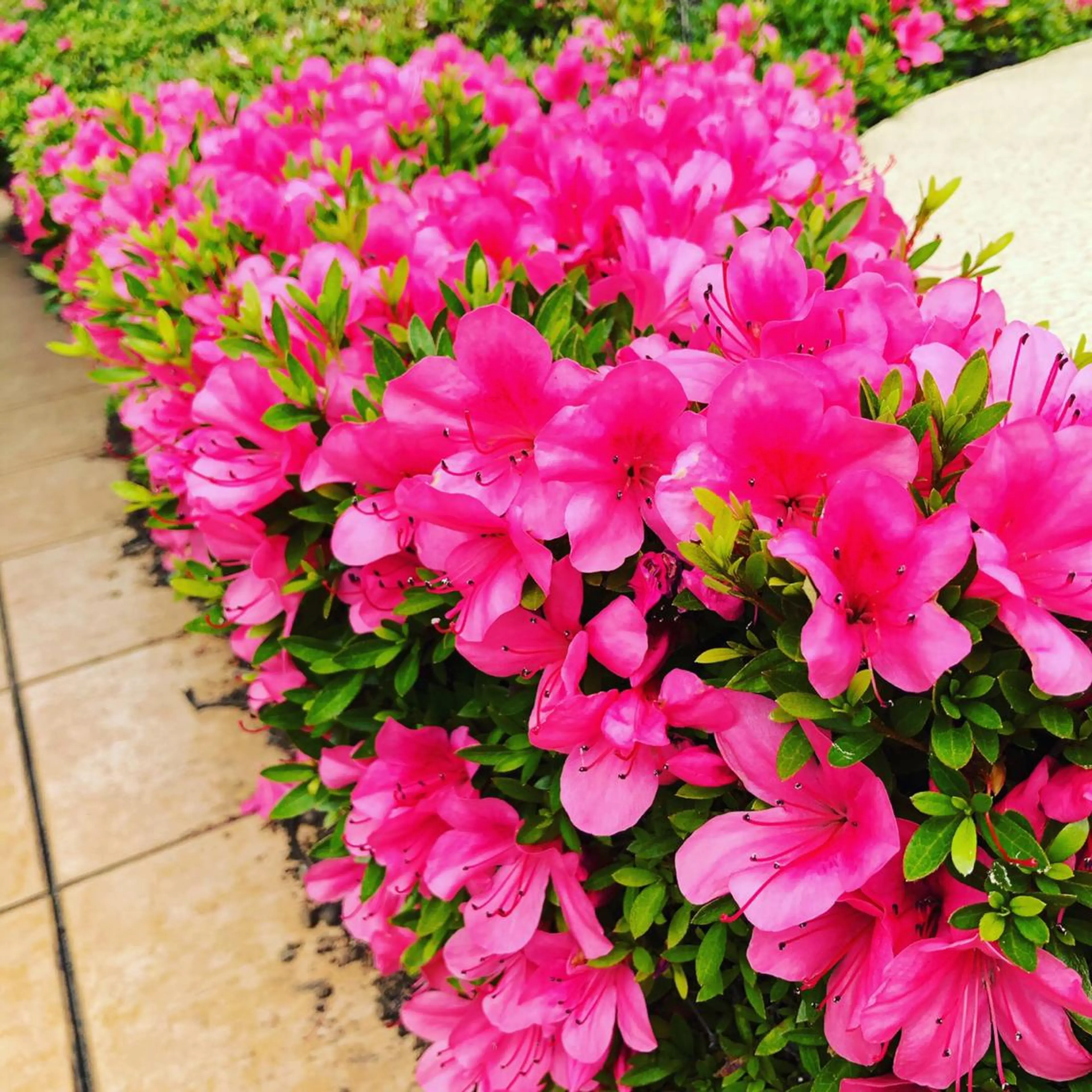 宇野澤 彩加のエステ・リラクイメージ