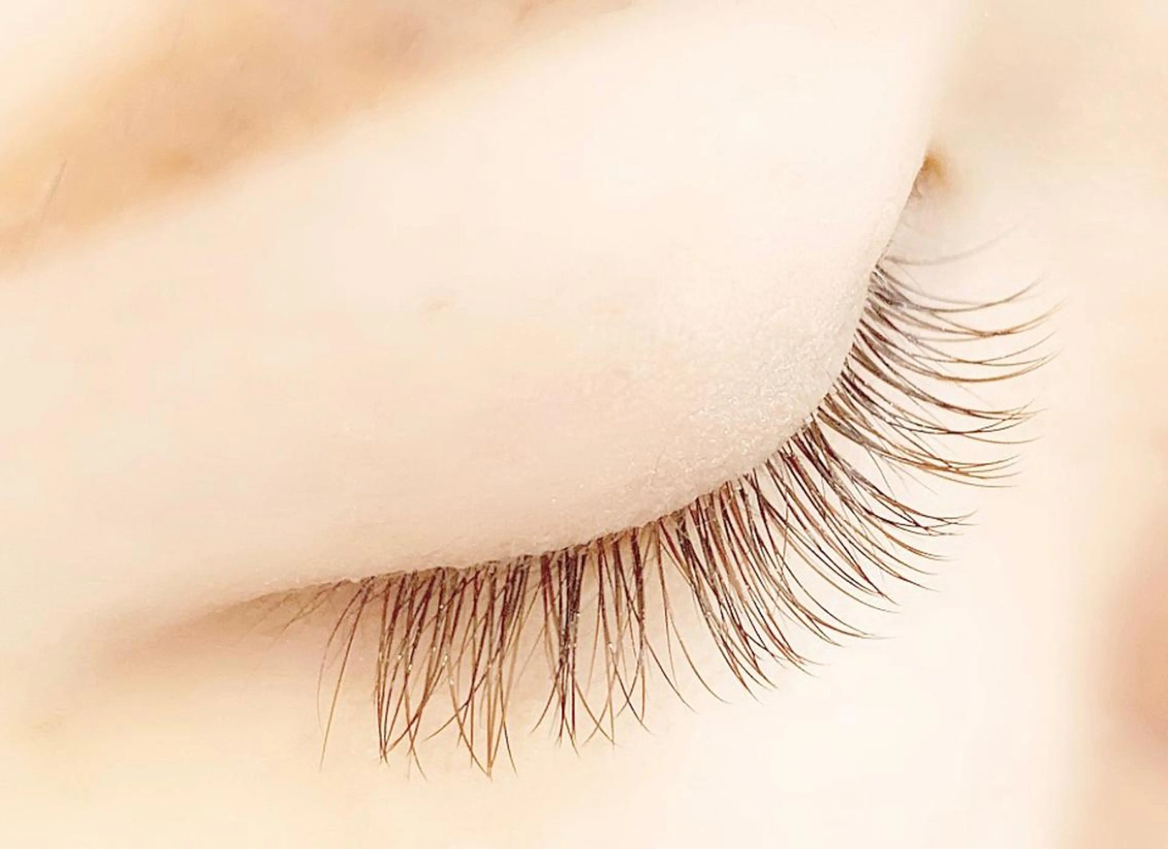 マツエク・マツパ カラーマツエク ナチュラル アルターエクラ ⟡.🎼 mikiのマツエク・マツパデザイン