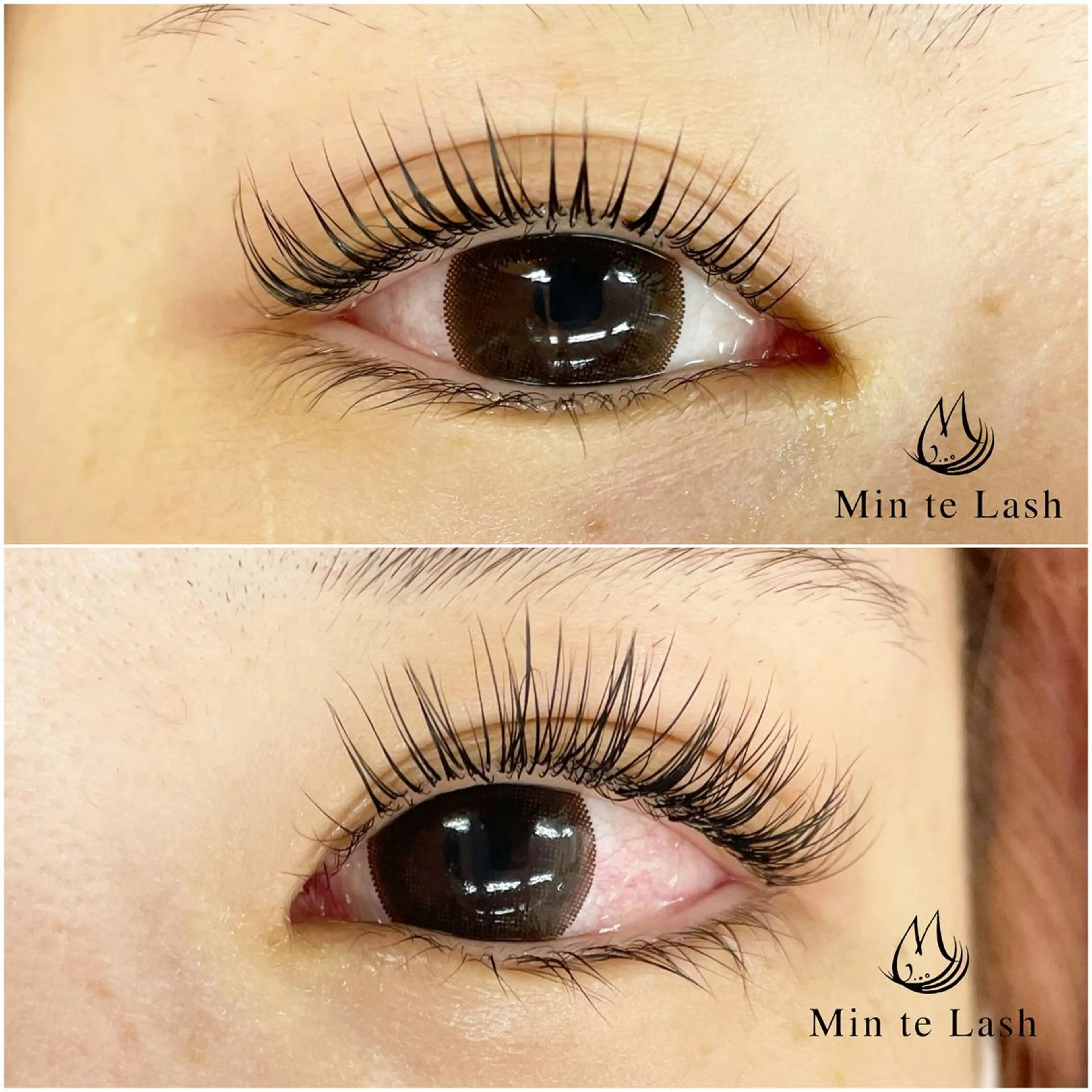 パリエク80本 フラットマットラッシュ🌟アイシャンプー&コーティング付の写真