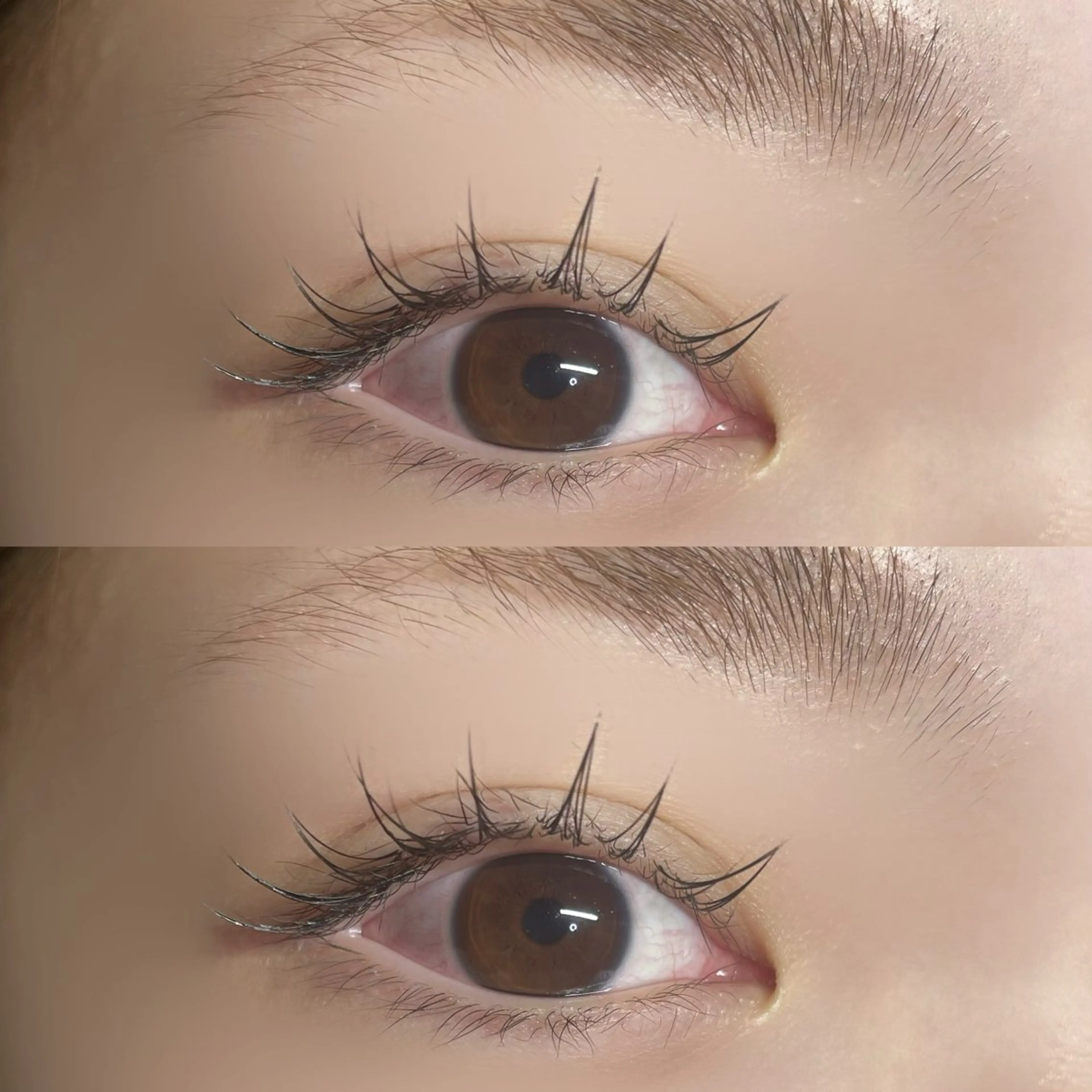 マツエク・マツパ Pulito aiのマツエク・マツパデザイン