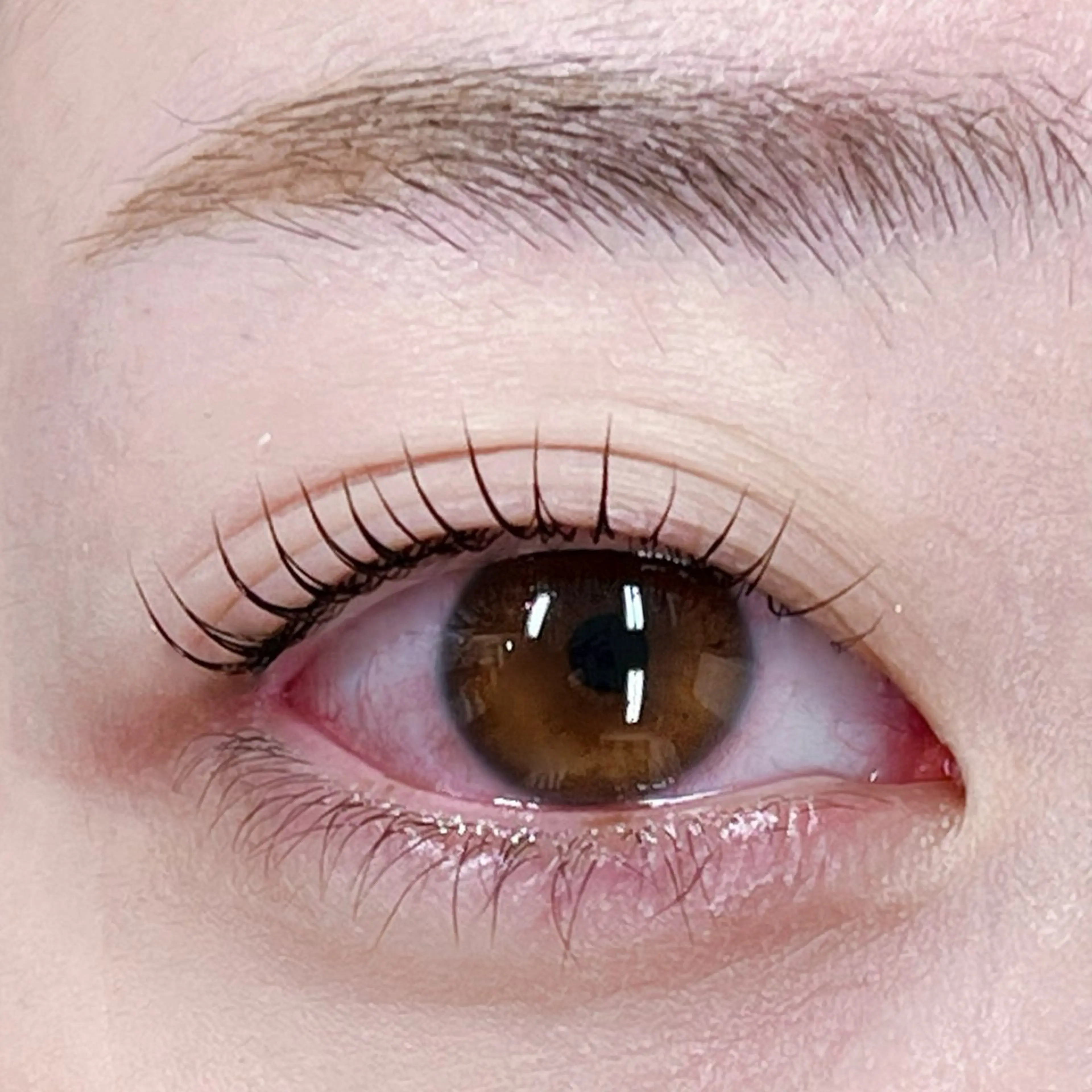 マツエク・マツパ R🌹 ⁺⊹˚.のマツエク・マツパデザイン