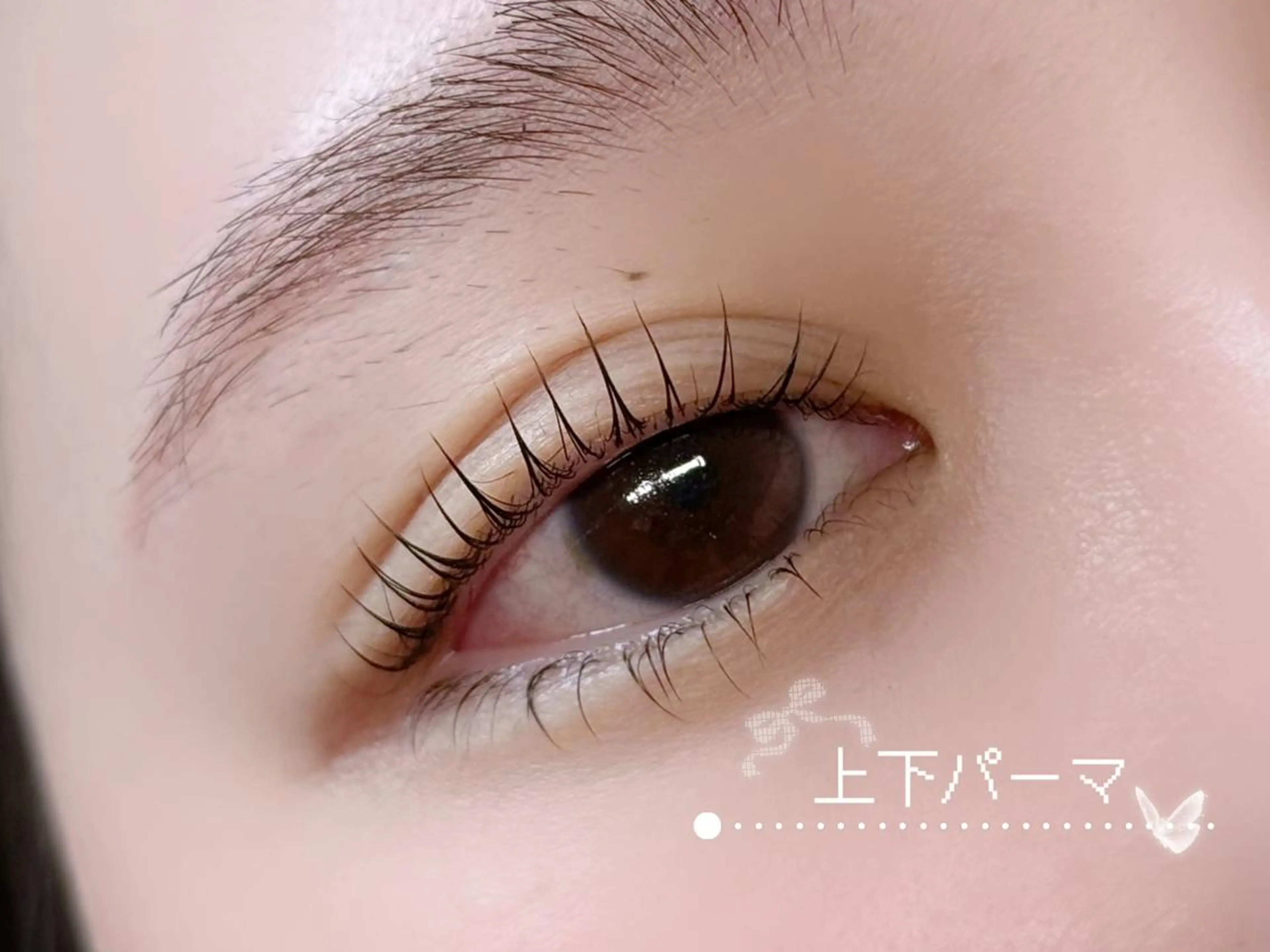 マツエク・マツパ マツパ jessica / 平野🪄︎︎◝✩の眉毛・アイブロウイメージ