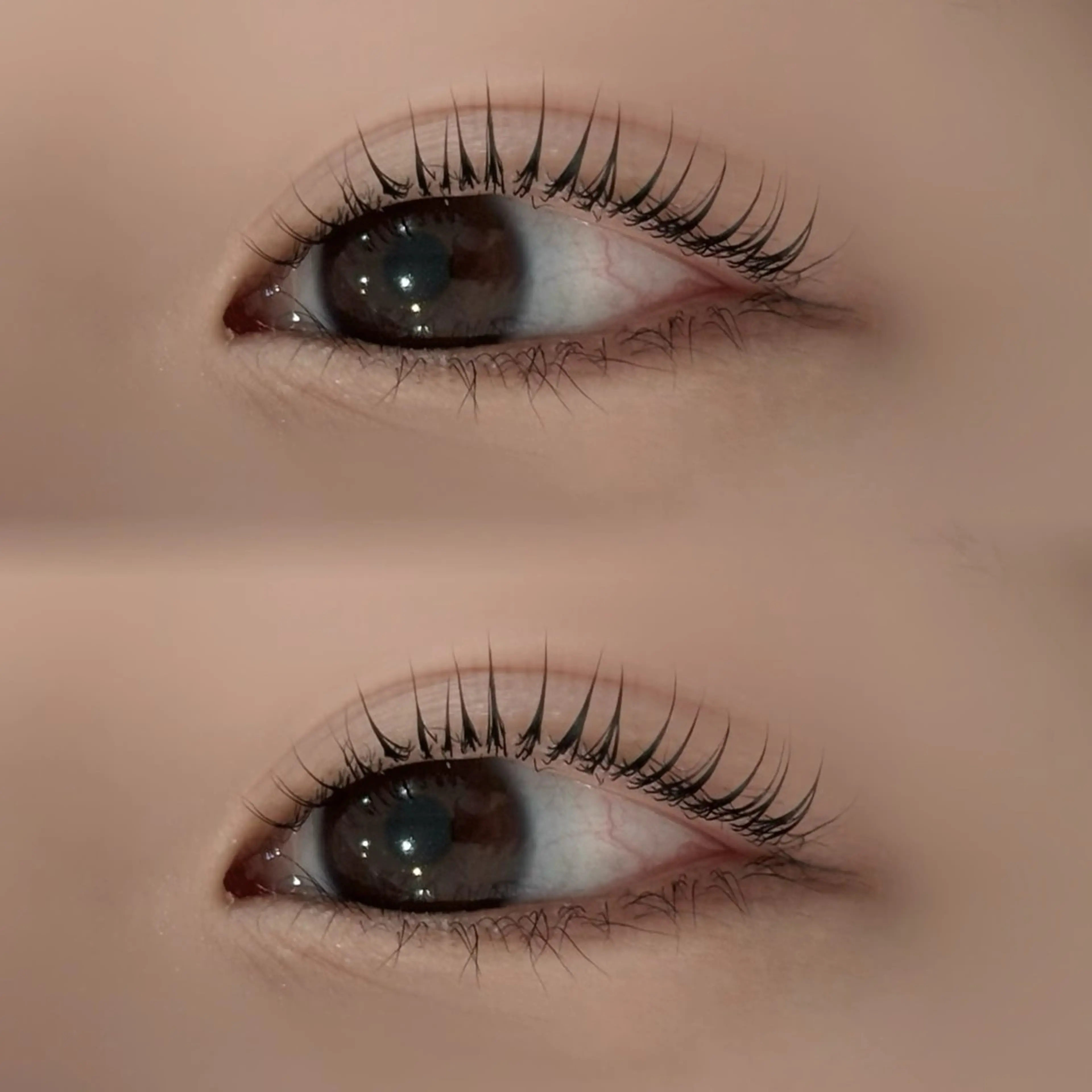 マツエク・マツパ マツパ eyelashZen MIYUU🦢の眉毛・アイブロウイメージ