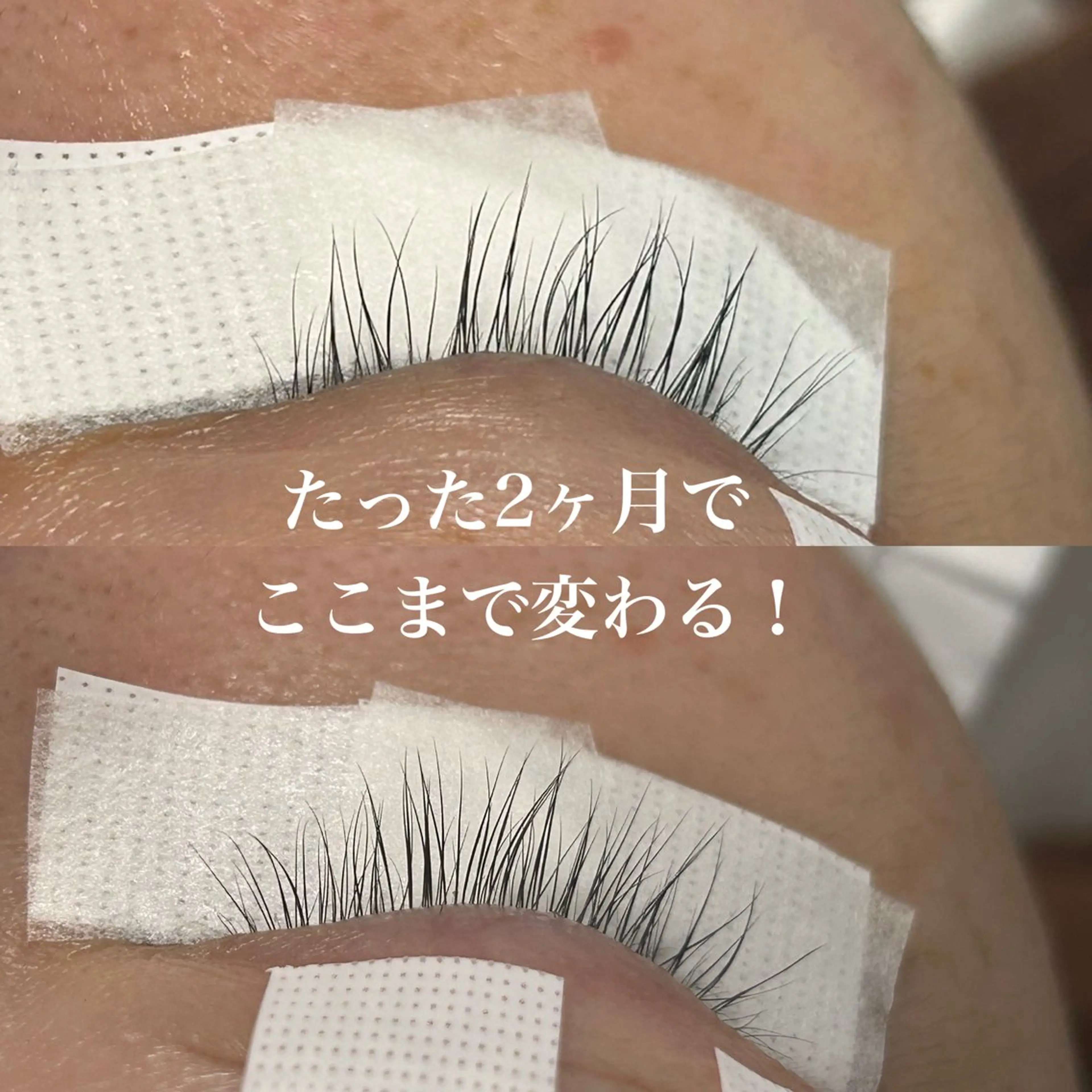 マツエク・マツパ マツエク 真夜中のまつ毛 APOPI'Sのマツエク・マツパデザイン