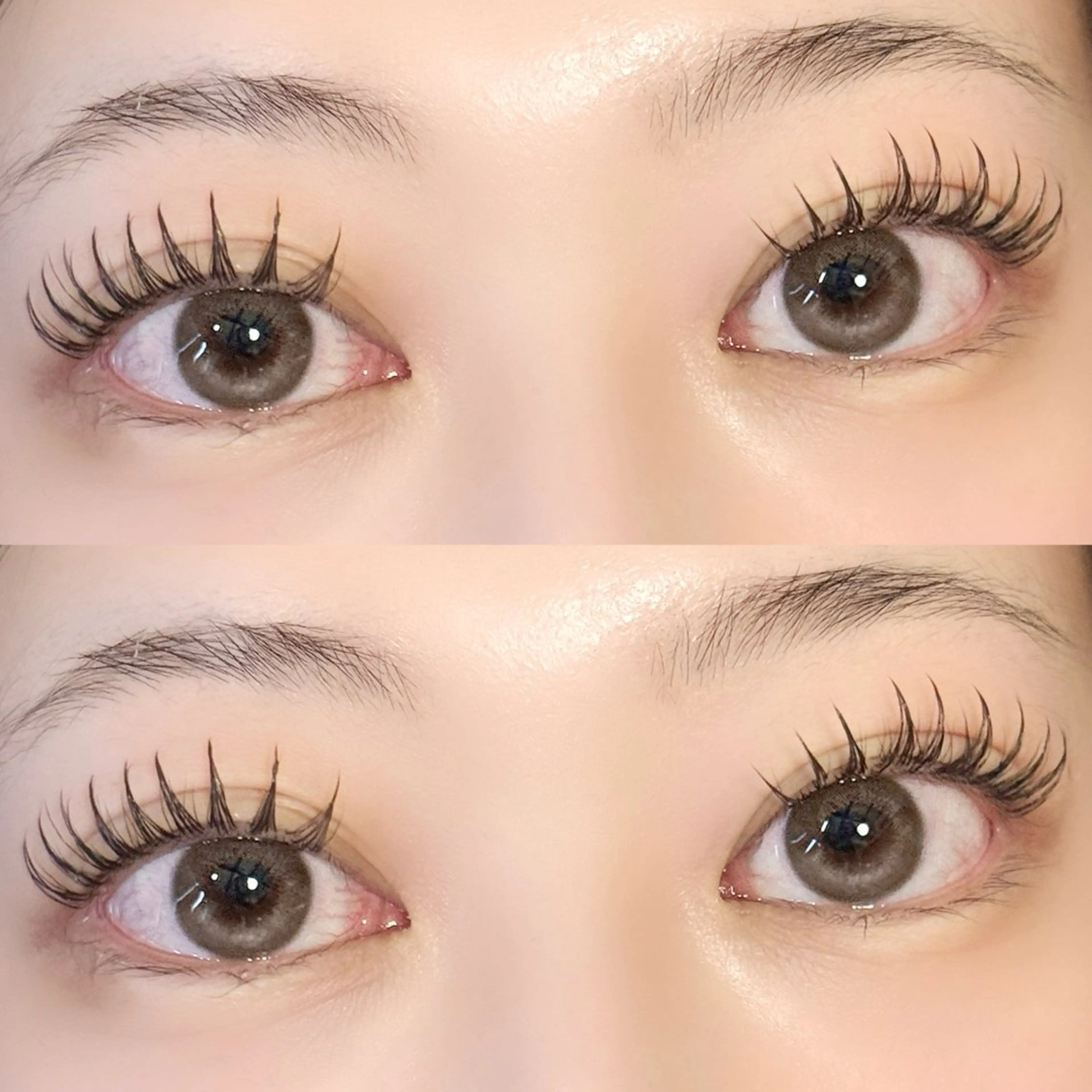 パリジェンヌ×フラットラッシュ⭐️80本￥8000/100本￥8500/120本¥9000 【オフ有+¥500】の写真