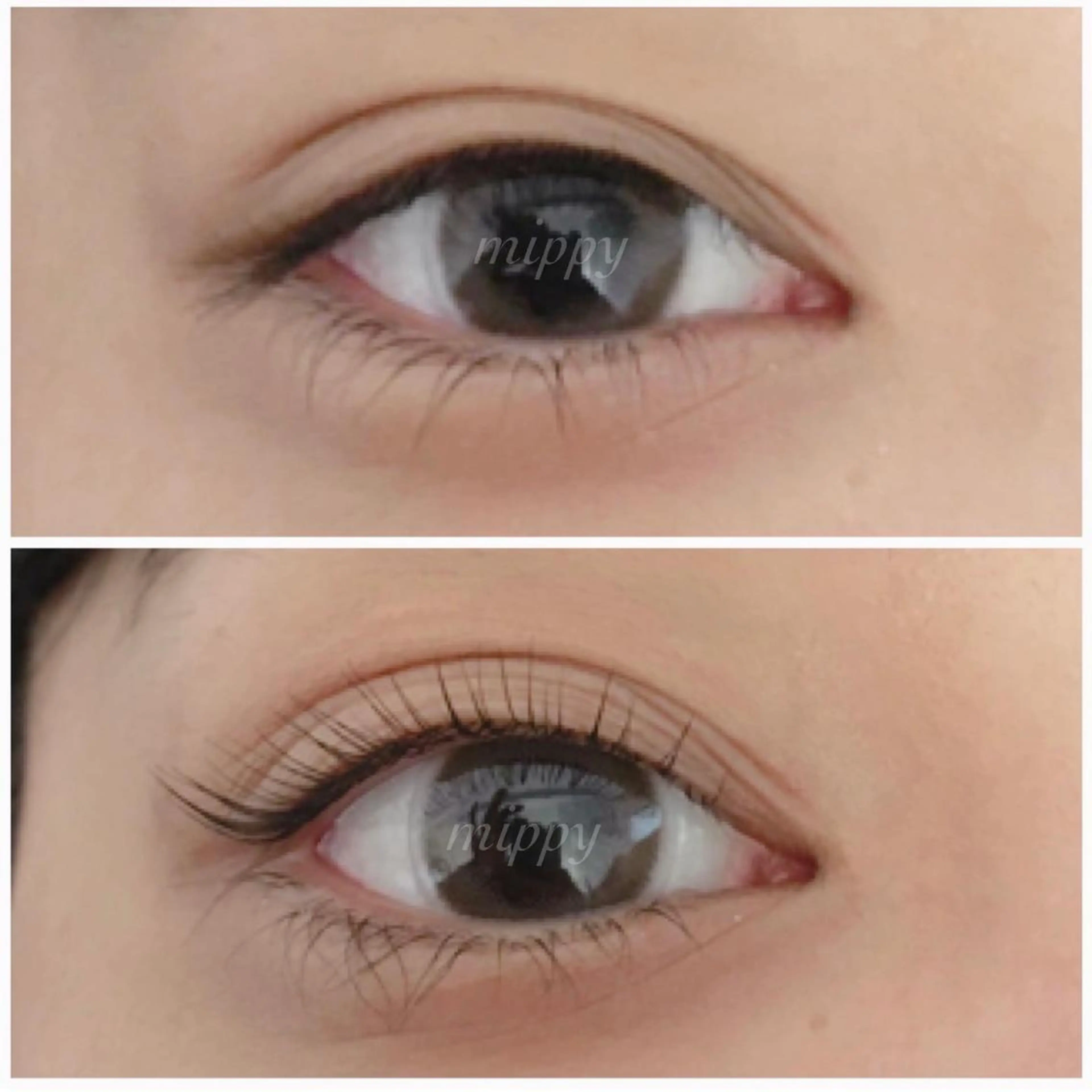 マツエク・マツパ パリジェンヌラッシュリフト ｍｉｐｐｙ 🪽のマツエク・マツパデザイン