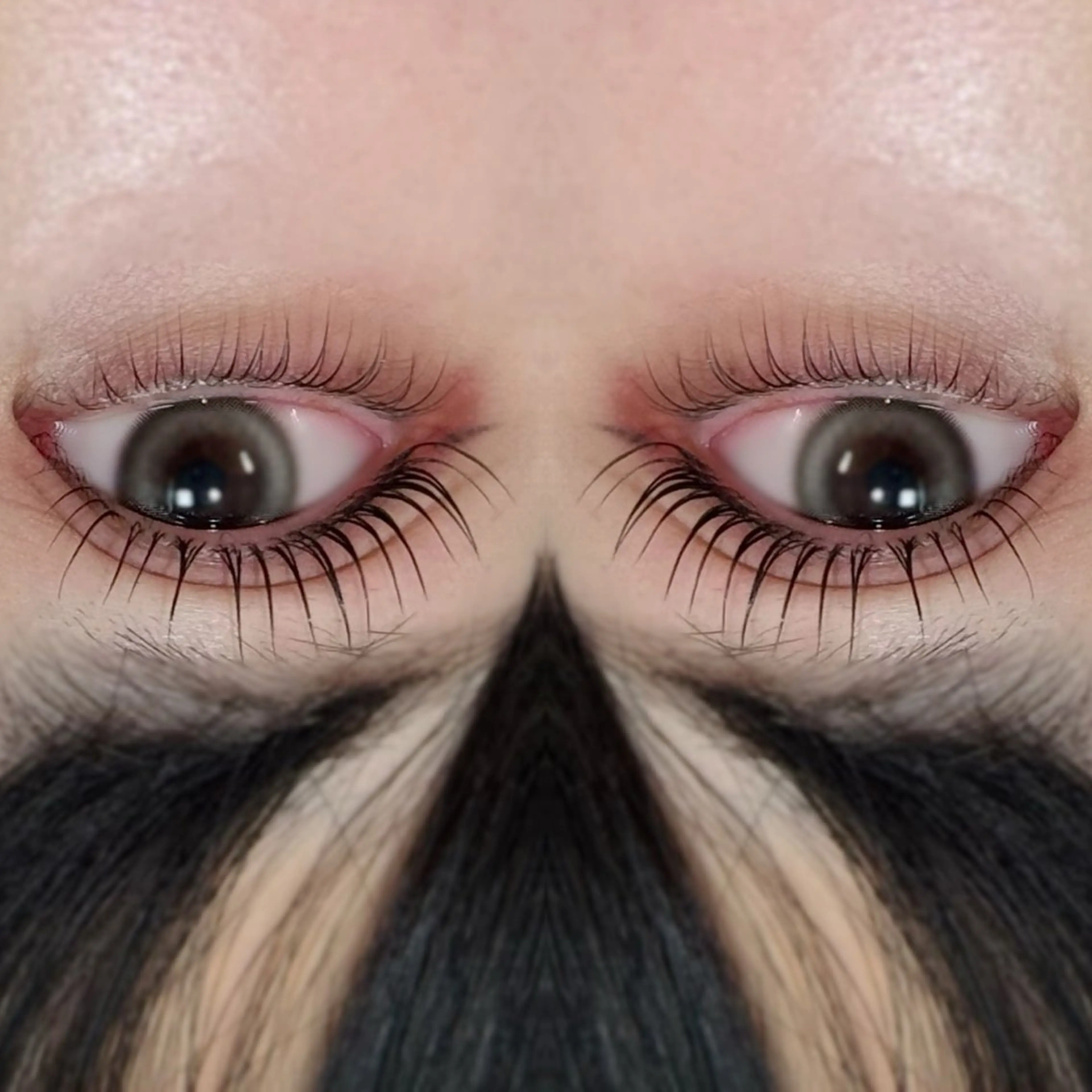 マツエク・マツパ Crevia Chieのマツエク・マツパデザイン