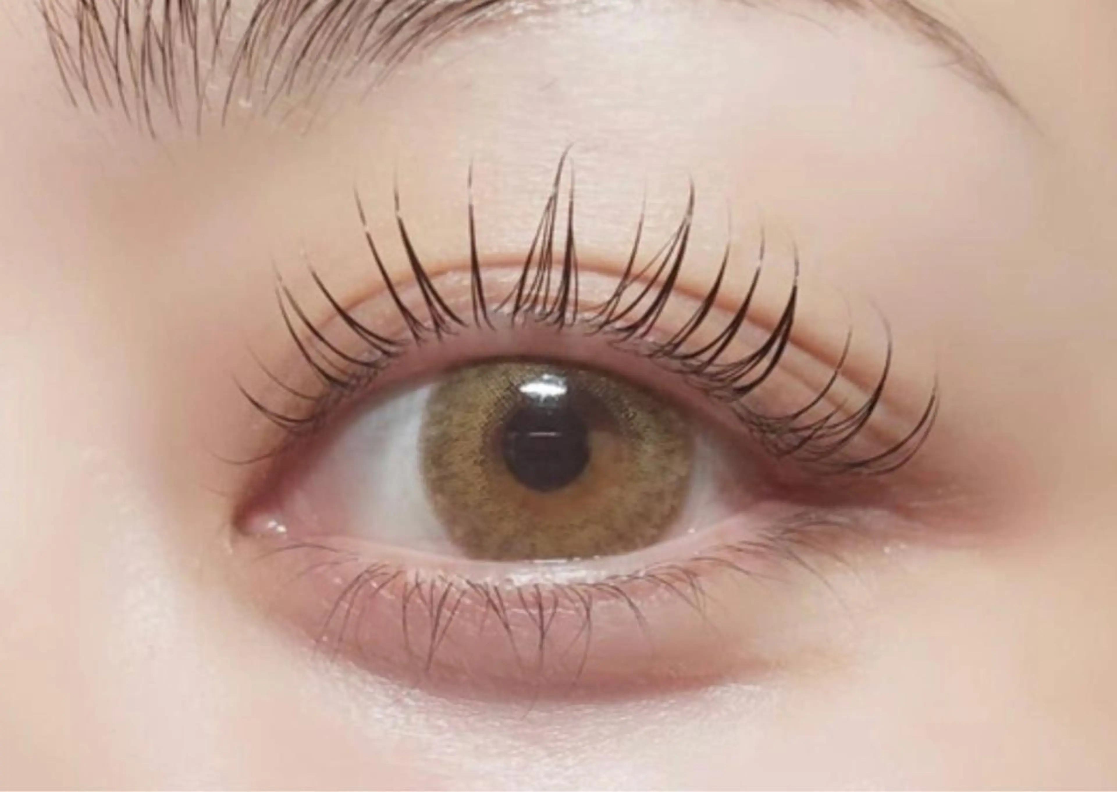 まつ毛パーマ【韓国風】の写真