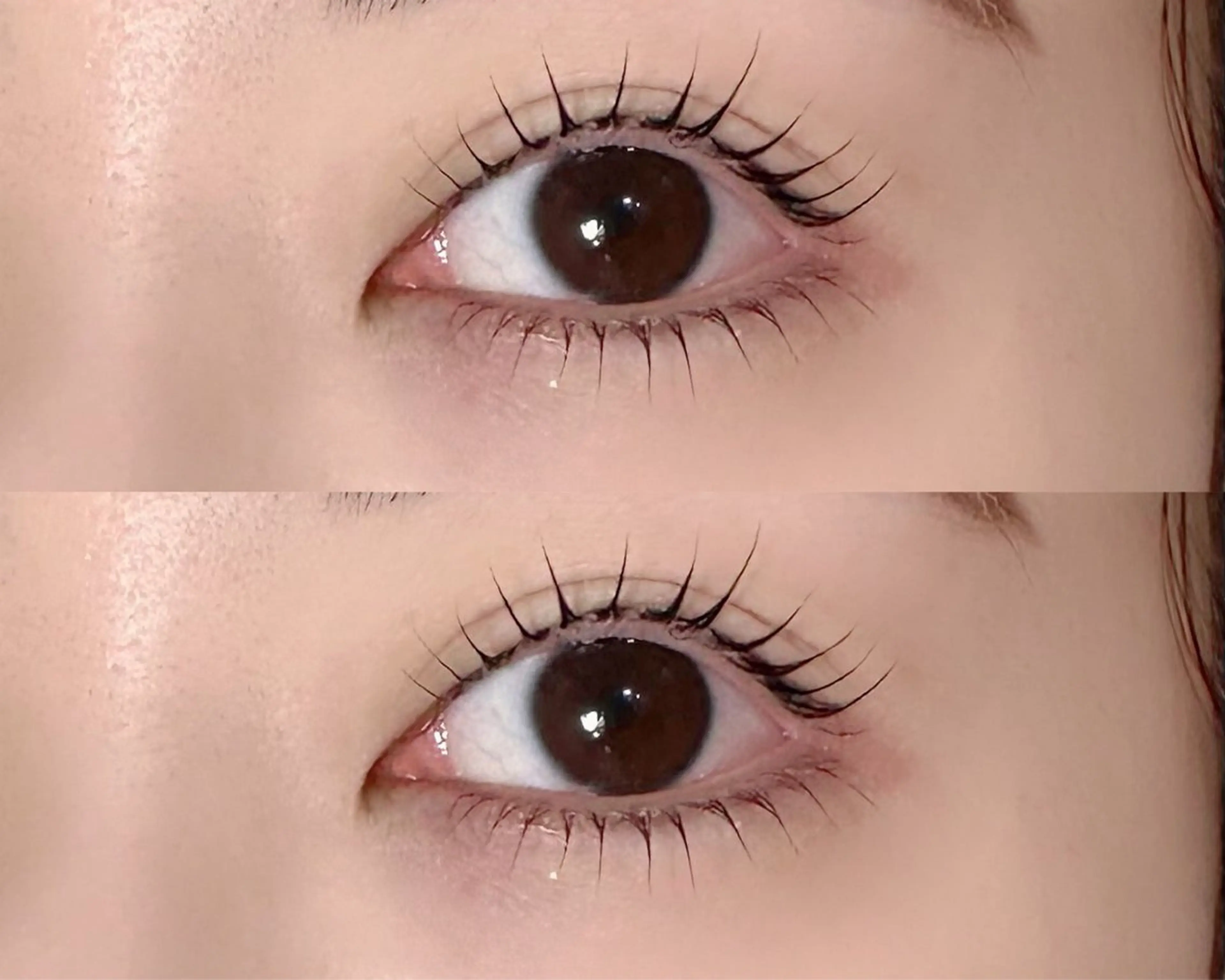 【ケラチンラッシュリフト上下🫧コーティング付き】 《再来の方＋¥500》の写真