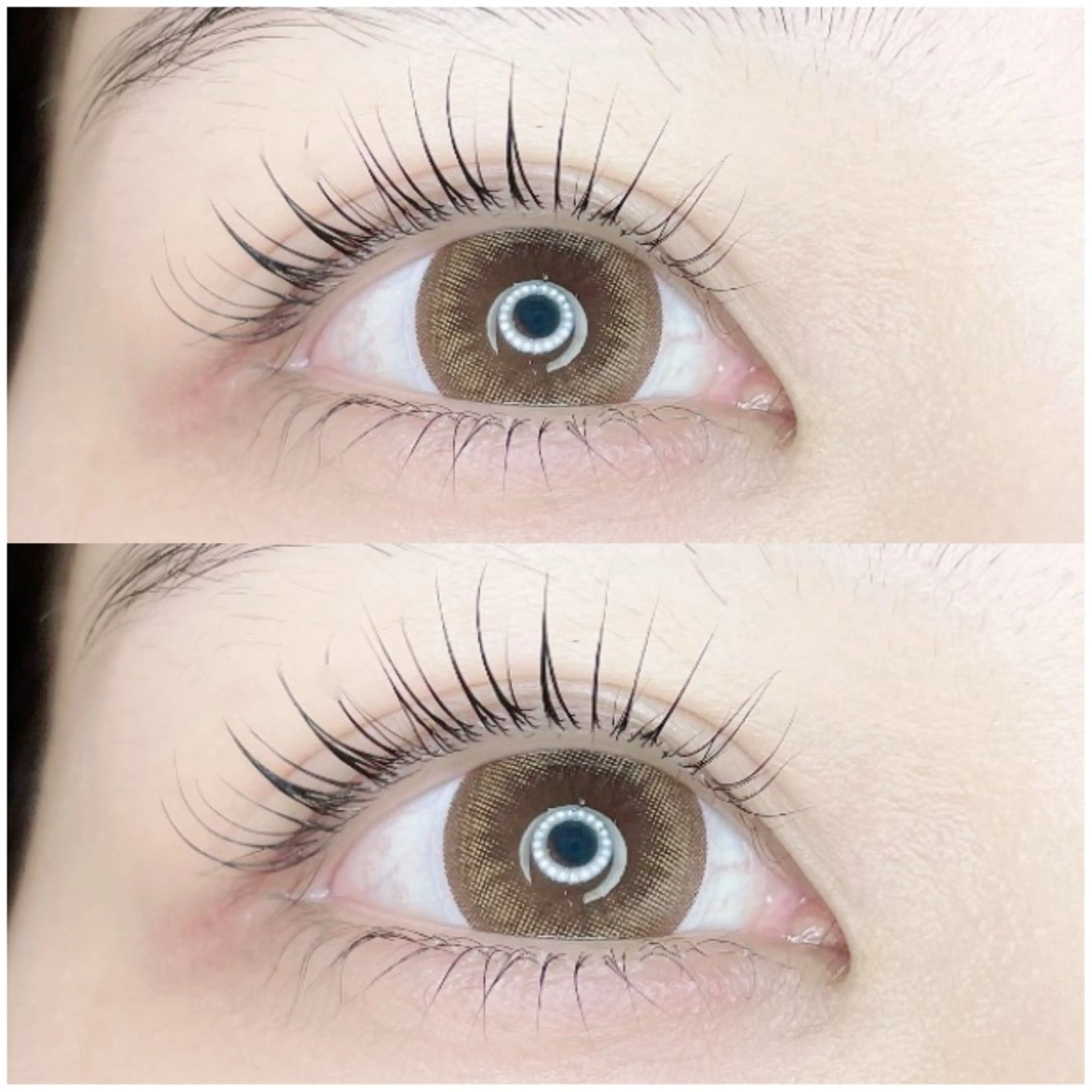 【当日限定！】まつ毛パーマ！の写真