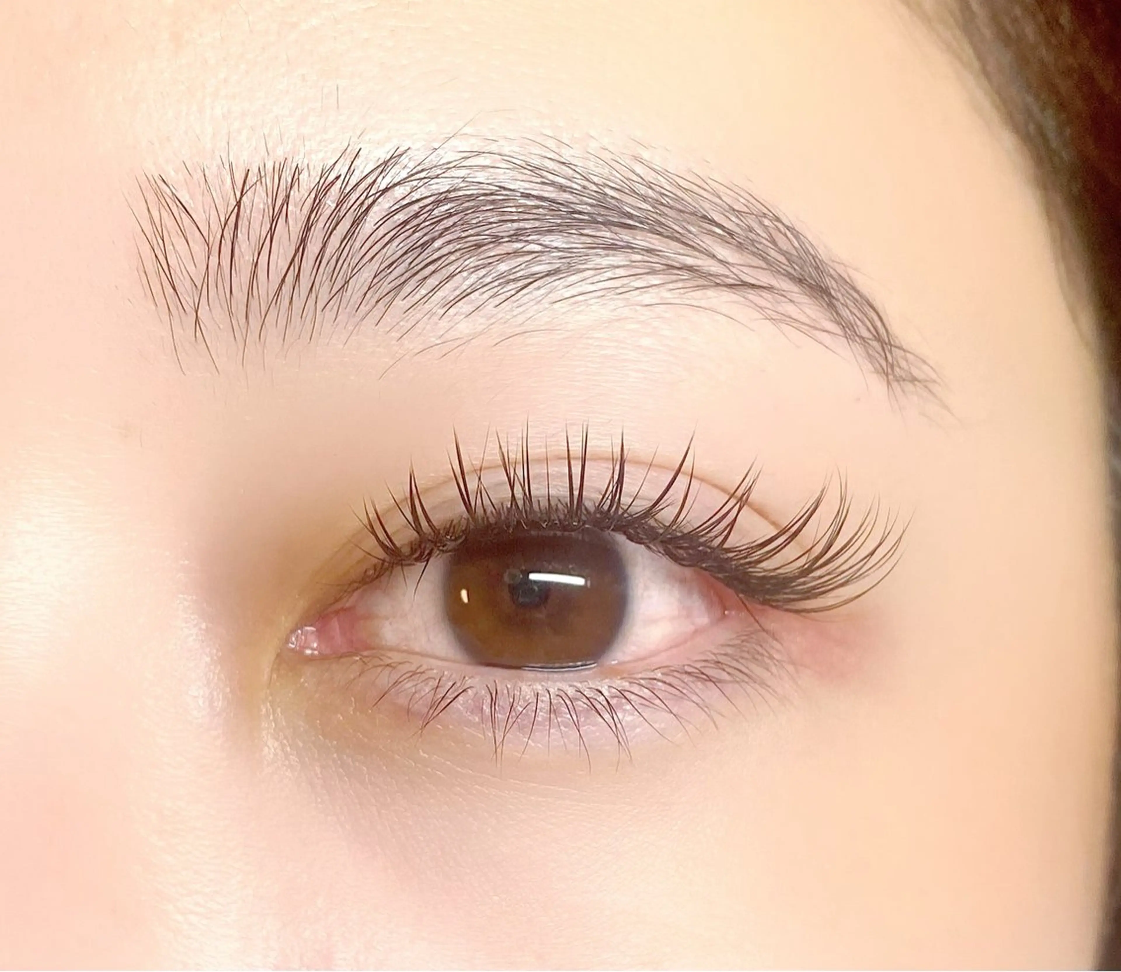 【持続力&濃さNo.1】バインドロック80束の写真