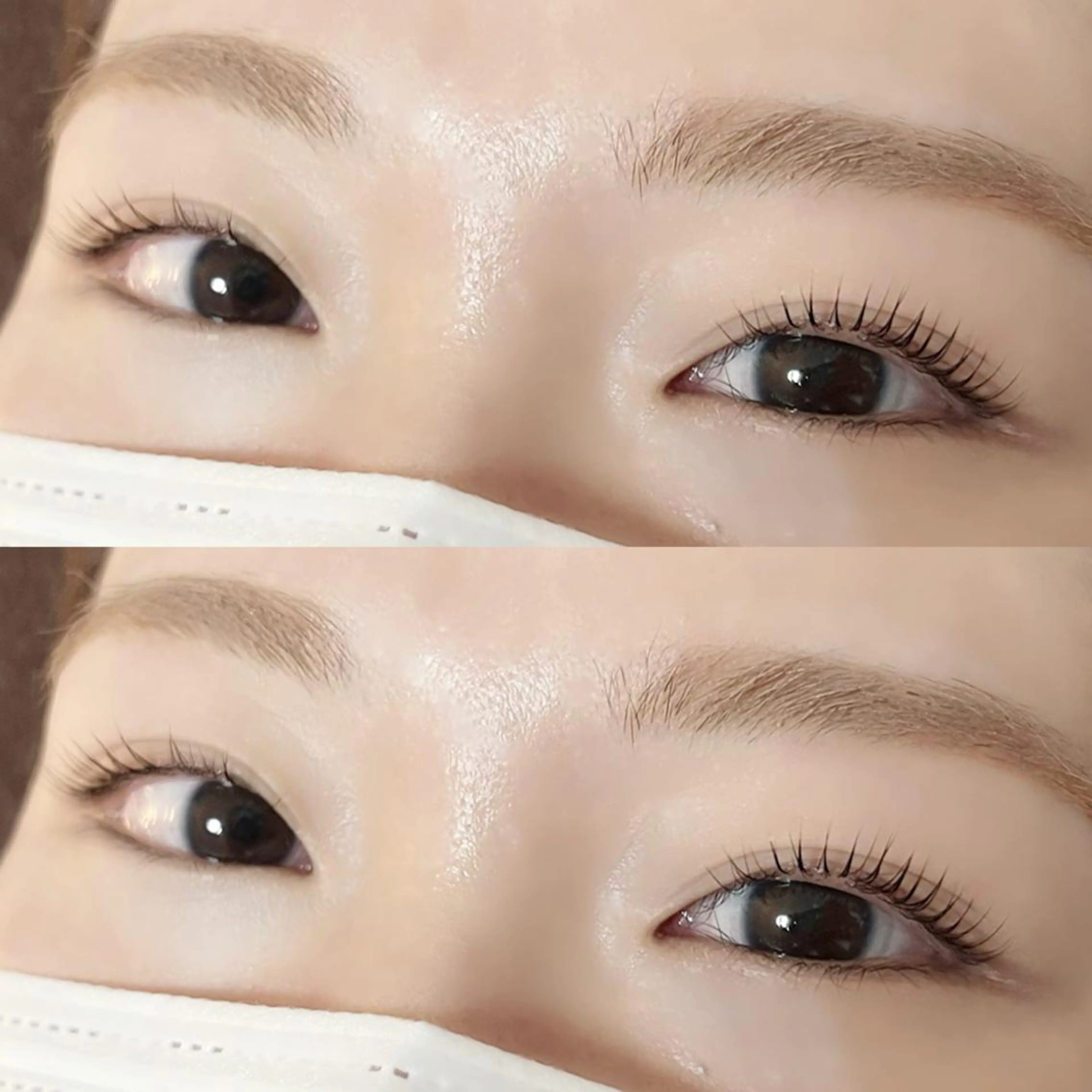 【再来】まつ毛と眉毛のセット❣️【パリジェンヌラッシュリフト】と【パリジェンヌブロウリフト】🦋の写真