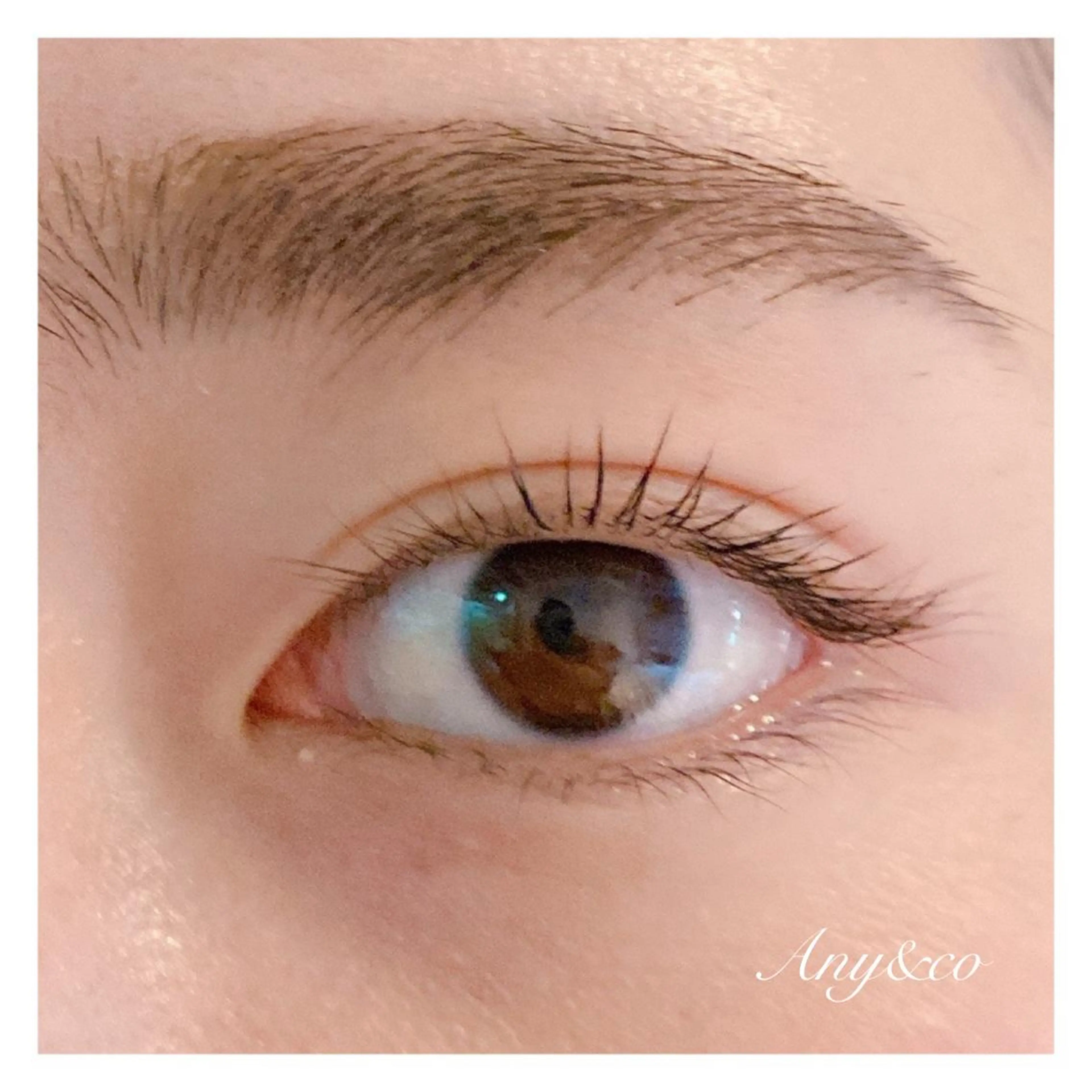 マツエク・マツパ アイリッドアップパーマ Any&co 【エニコ】のマツエク・マツパデザイン