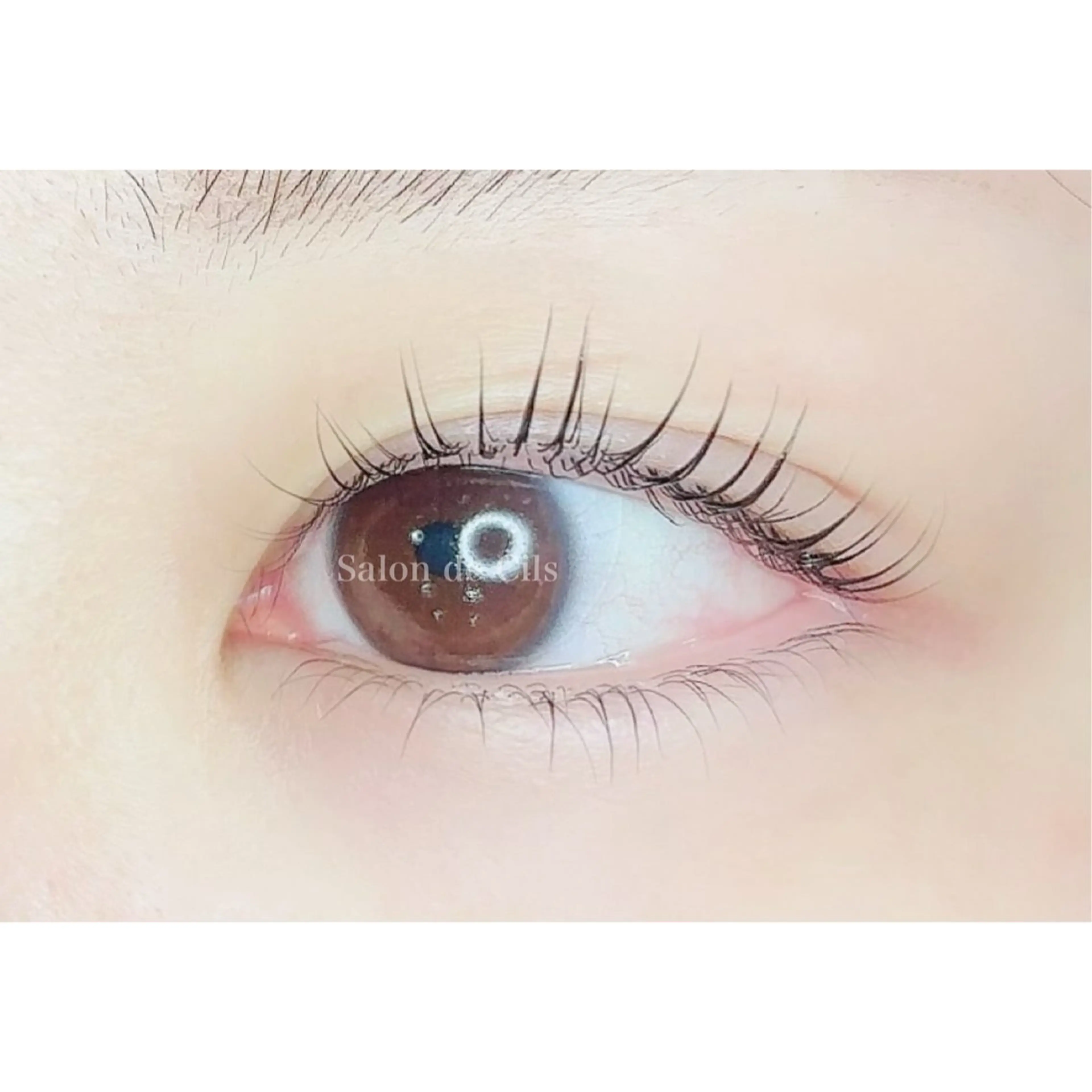 マツエク・マツパ Salon de Cilsのマツエク・マツパデザイン